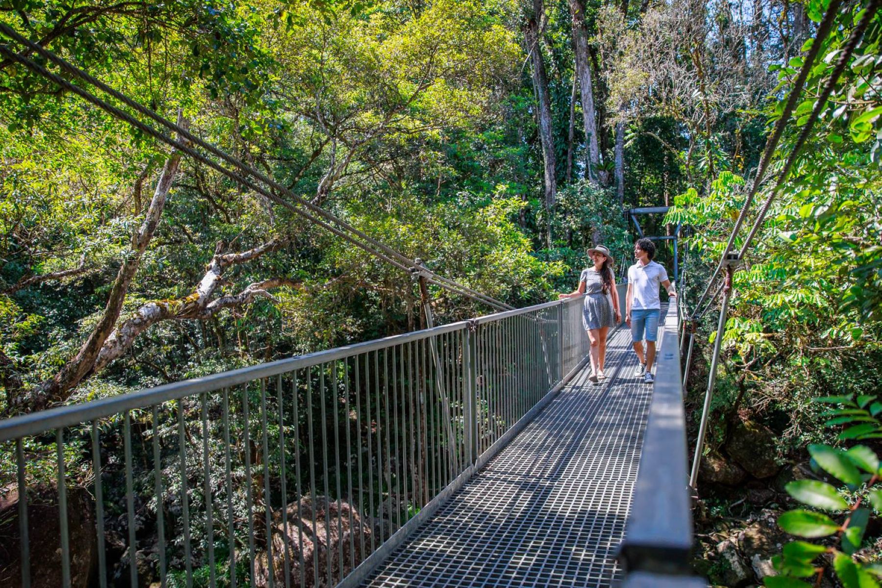 Cape Tribulation, Daintree & Mossman Gorge (includes lunch)