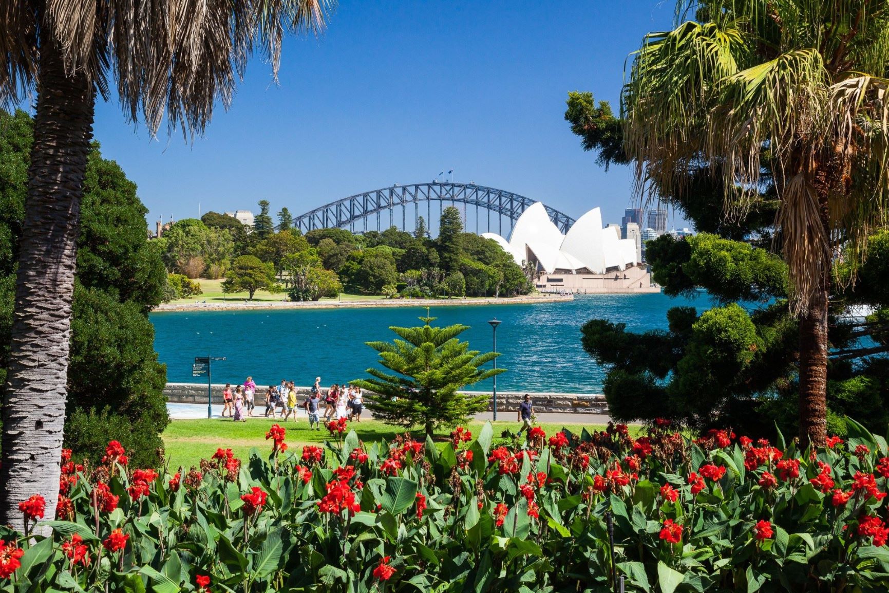 See Sydney in Style  - 8 Hour Private Day Tour