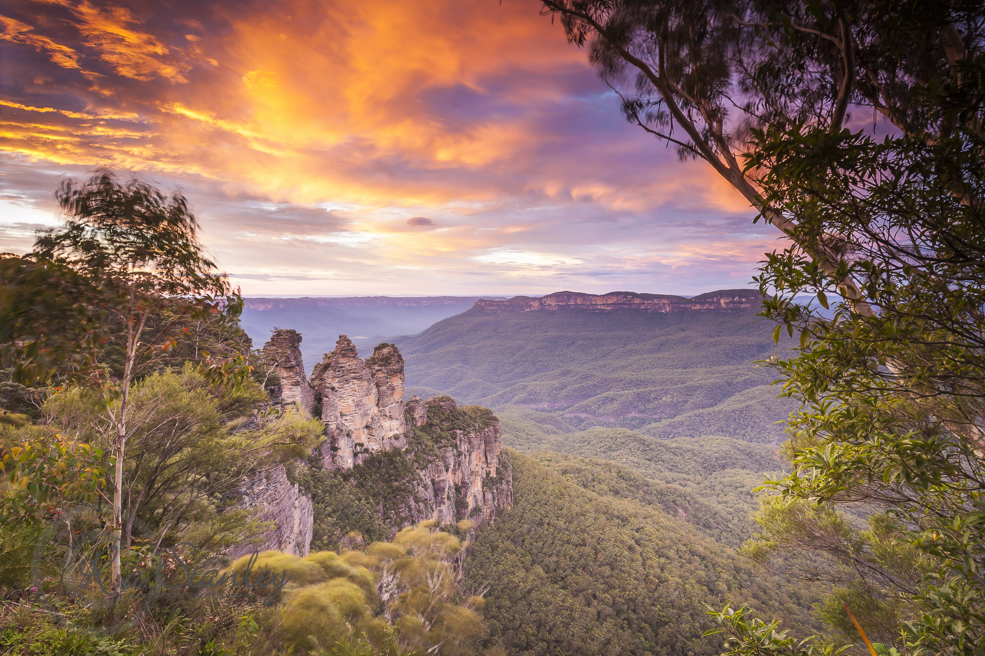 Ultimate Blue Mountains  - Fully Inclusive Private Day Tour with Featherdale Wildlife Park, Scenic World and the Three Sisters