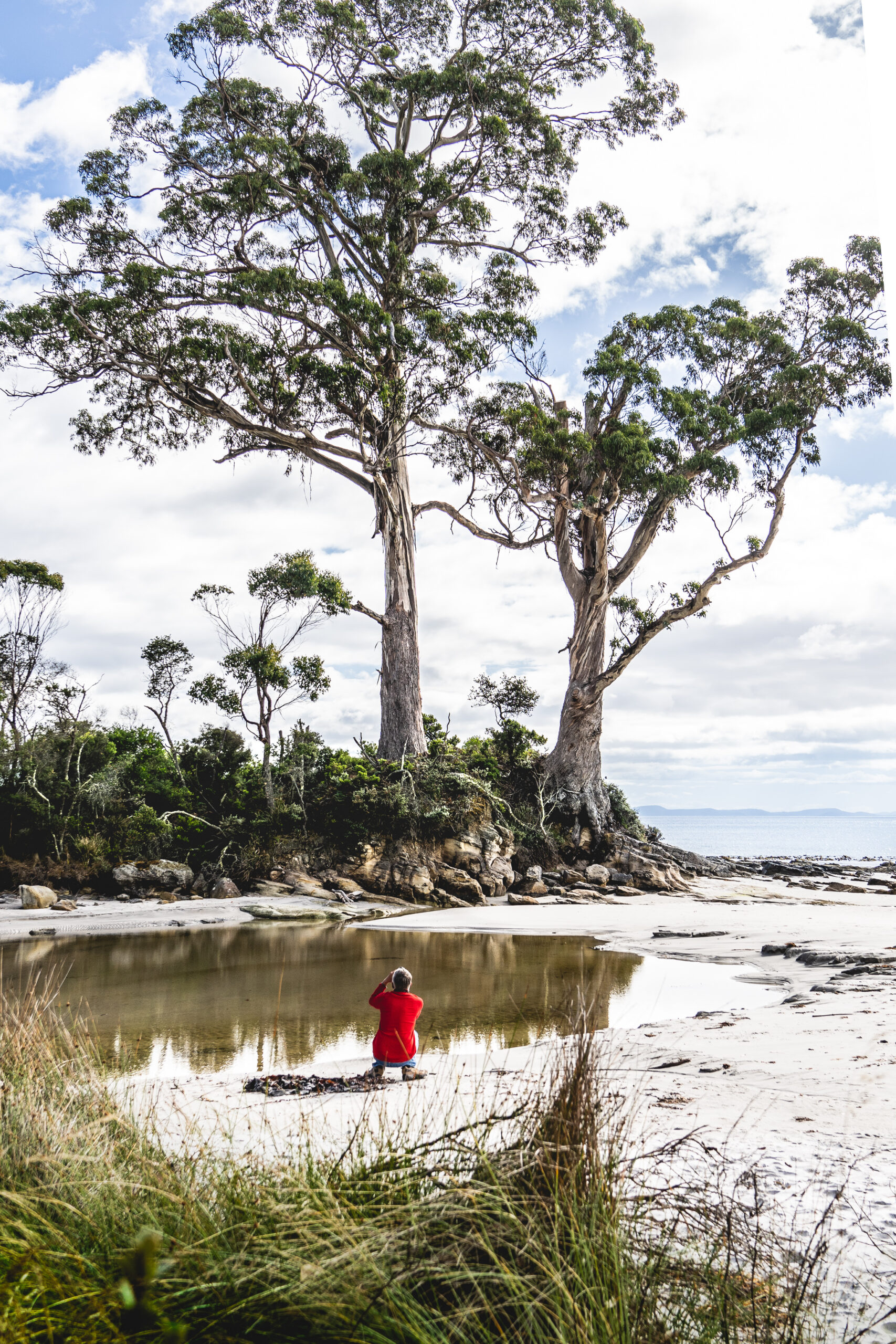 Bruny Island Safaris - Foods, Sightseeing and Lighthouse Tour