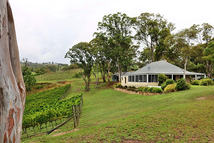 Blue Mountains and Megalong Valley Winery Private Tour from Sydney