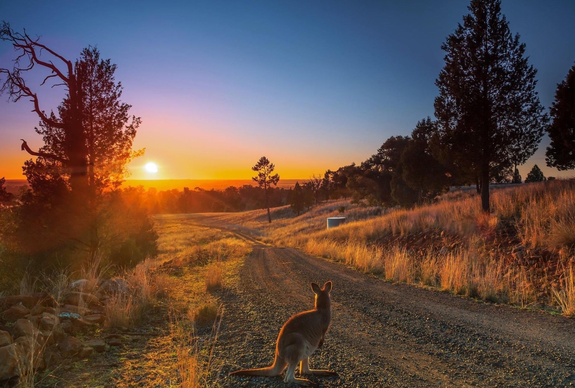 Bulwarra Accommodation - Heritage Studio