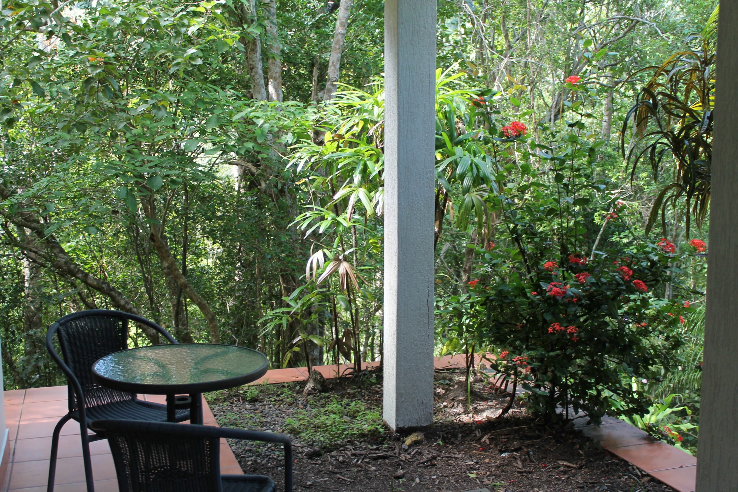 Whitsundays Rainforest Retreat