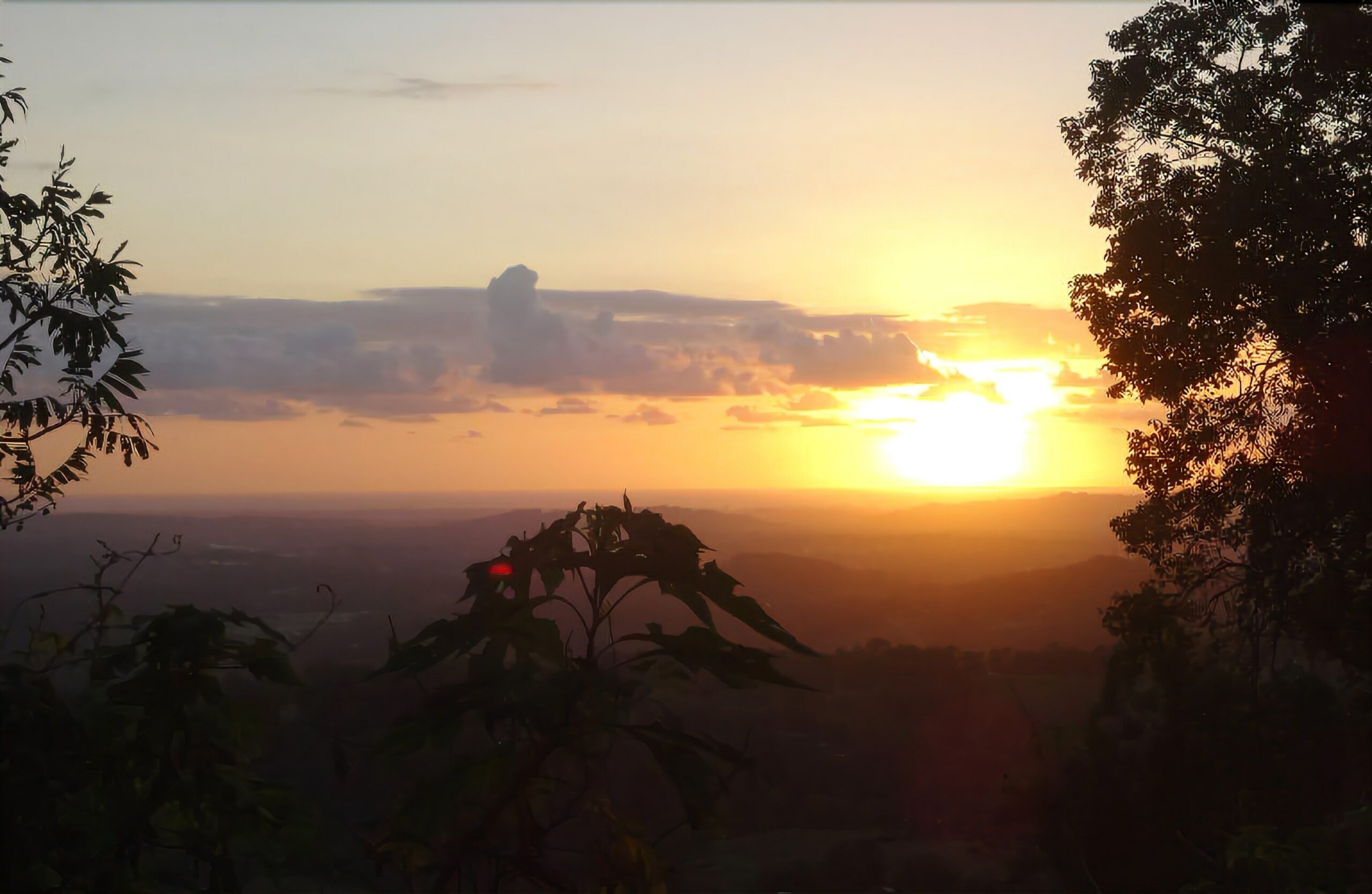 Treetops Accommodation Montville