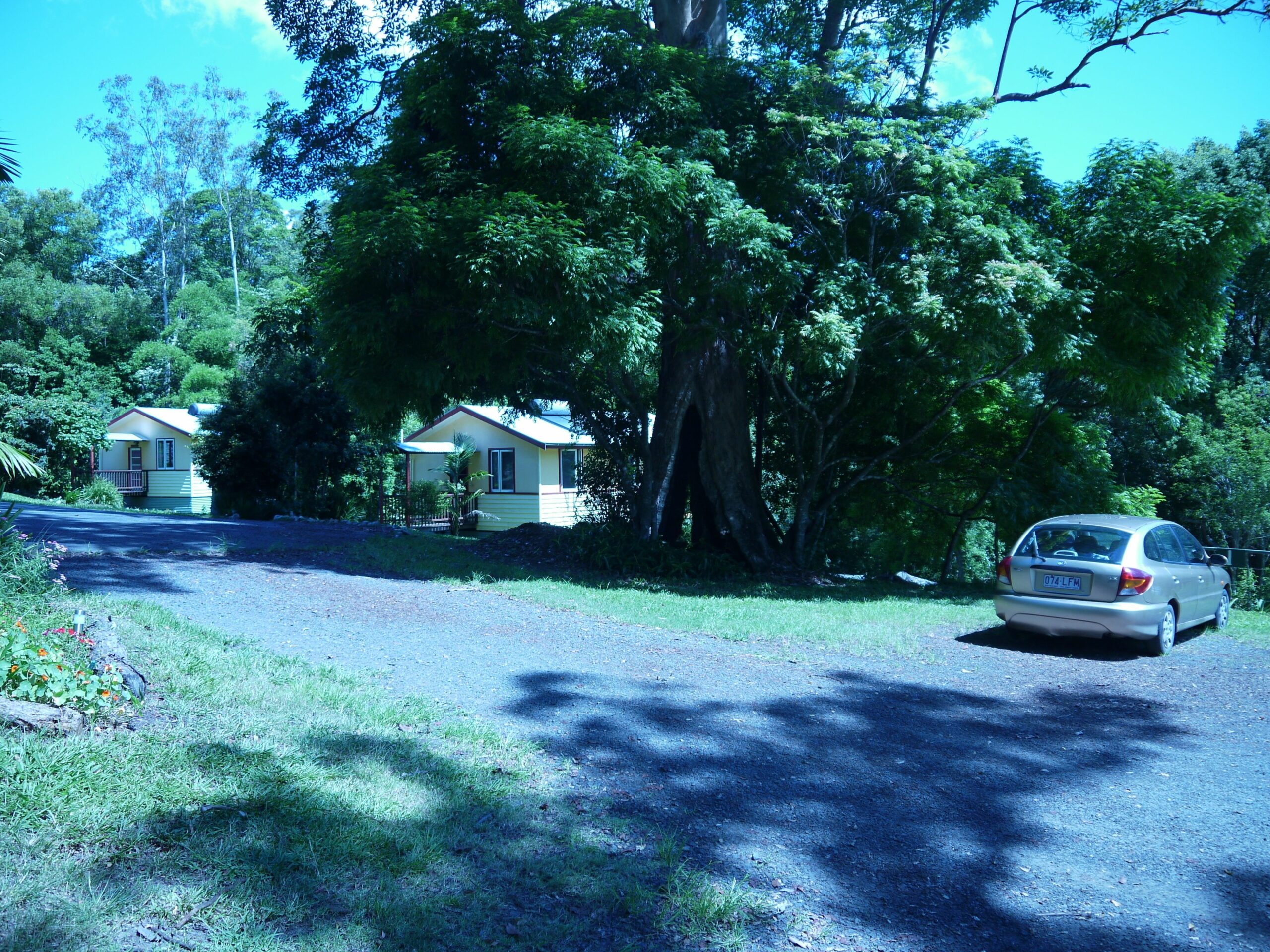 Teretre Cabins Nimbin