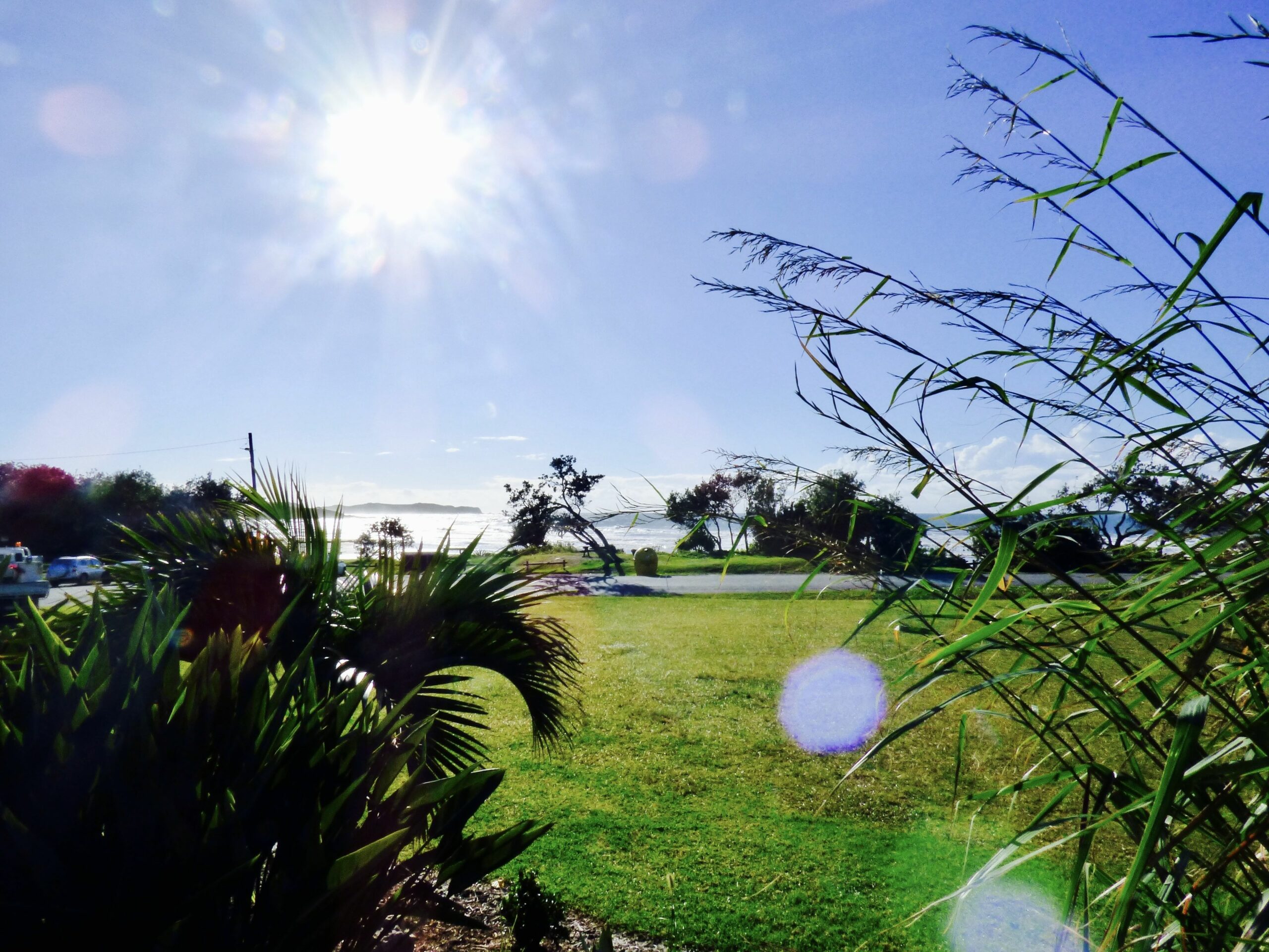 ArtHOUSE Beachfront Accommodation