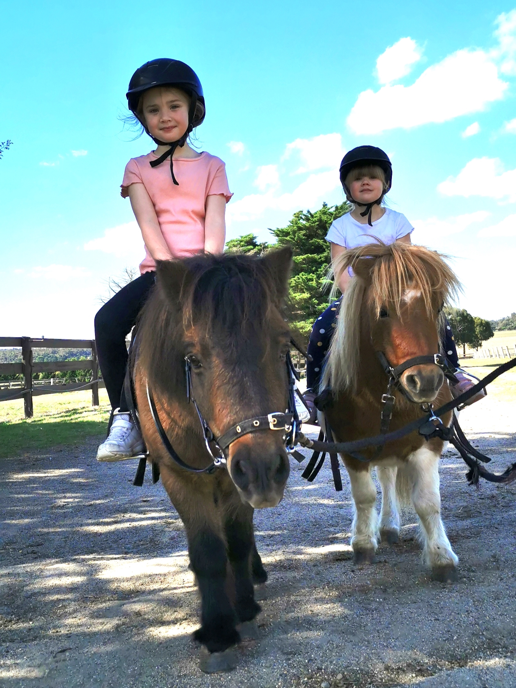 Pony Party – 1 Hour – Woodlands Lodge