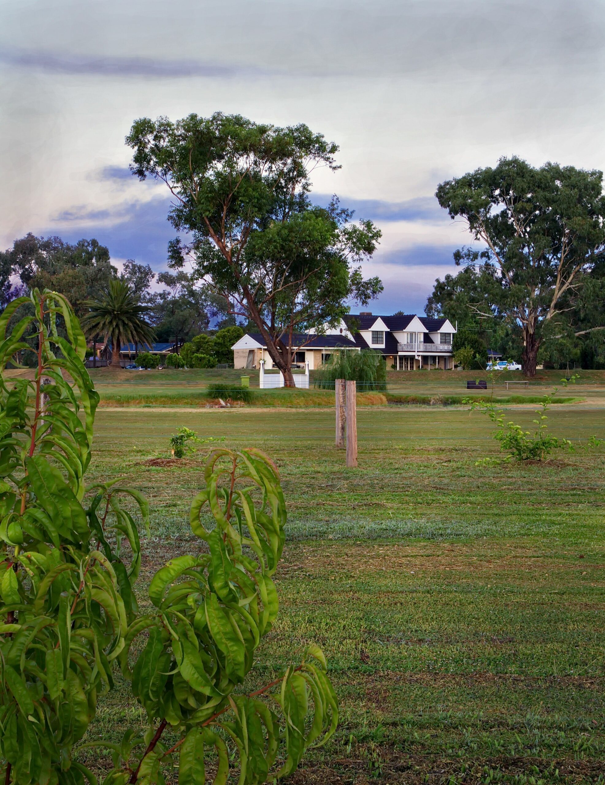 The Duck Inn Apartments