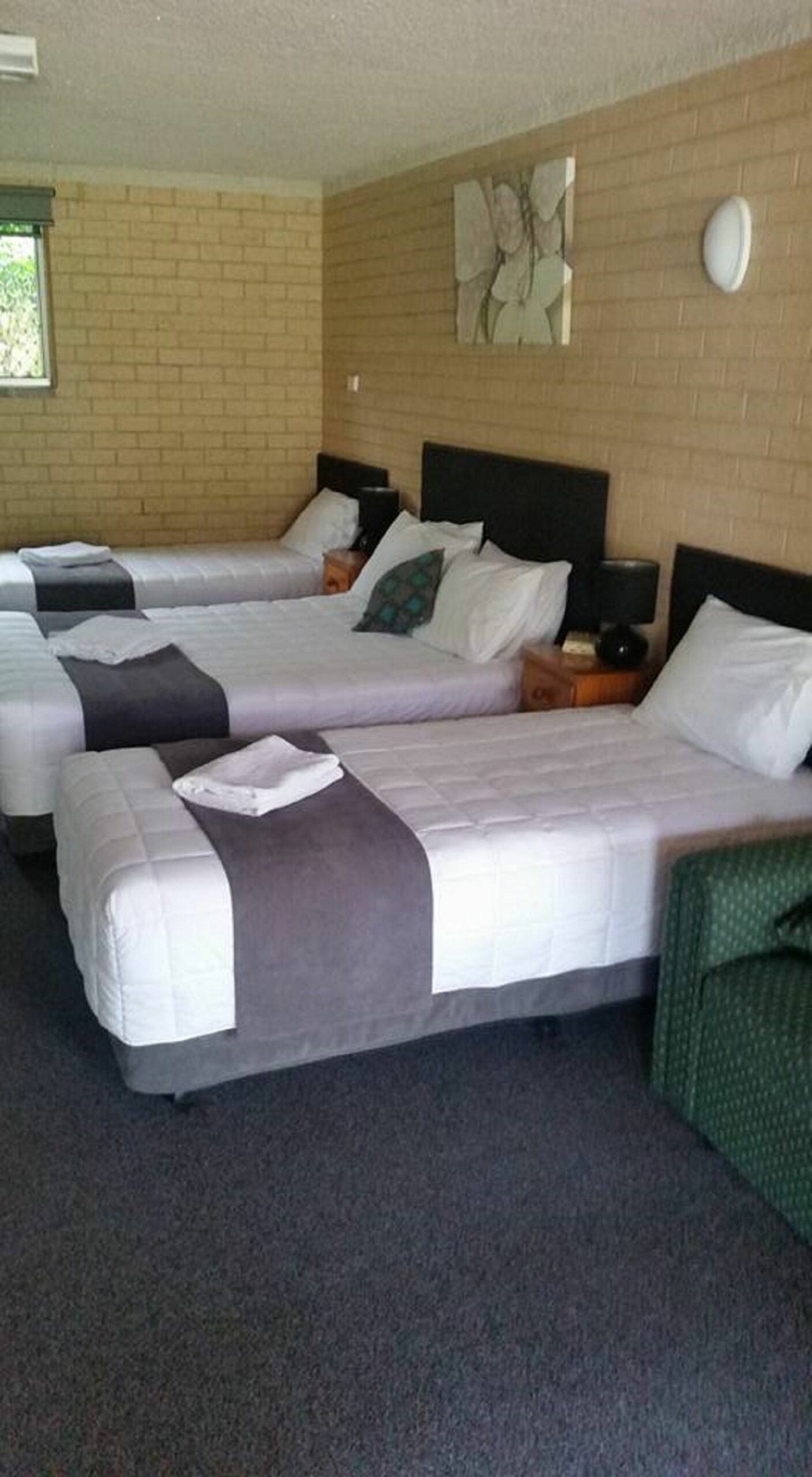 Avlon Gardens Motel - Ballina