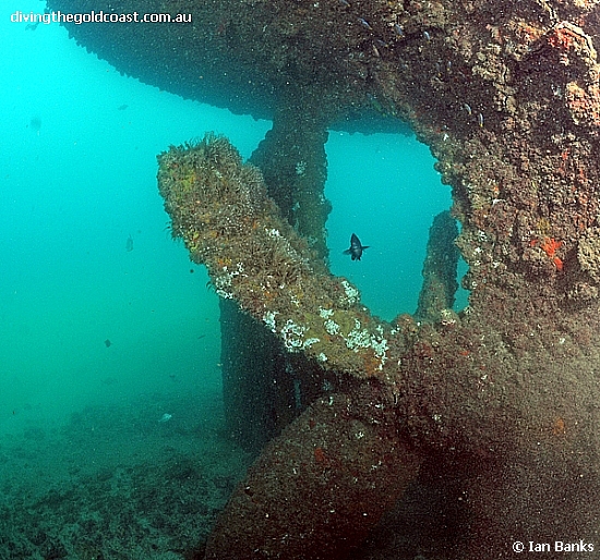 Scuba Diving Tangalooma Wrecks, Moreton Island - Double Dive