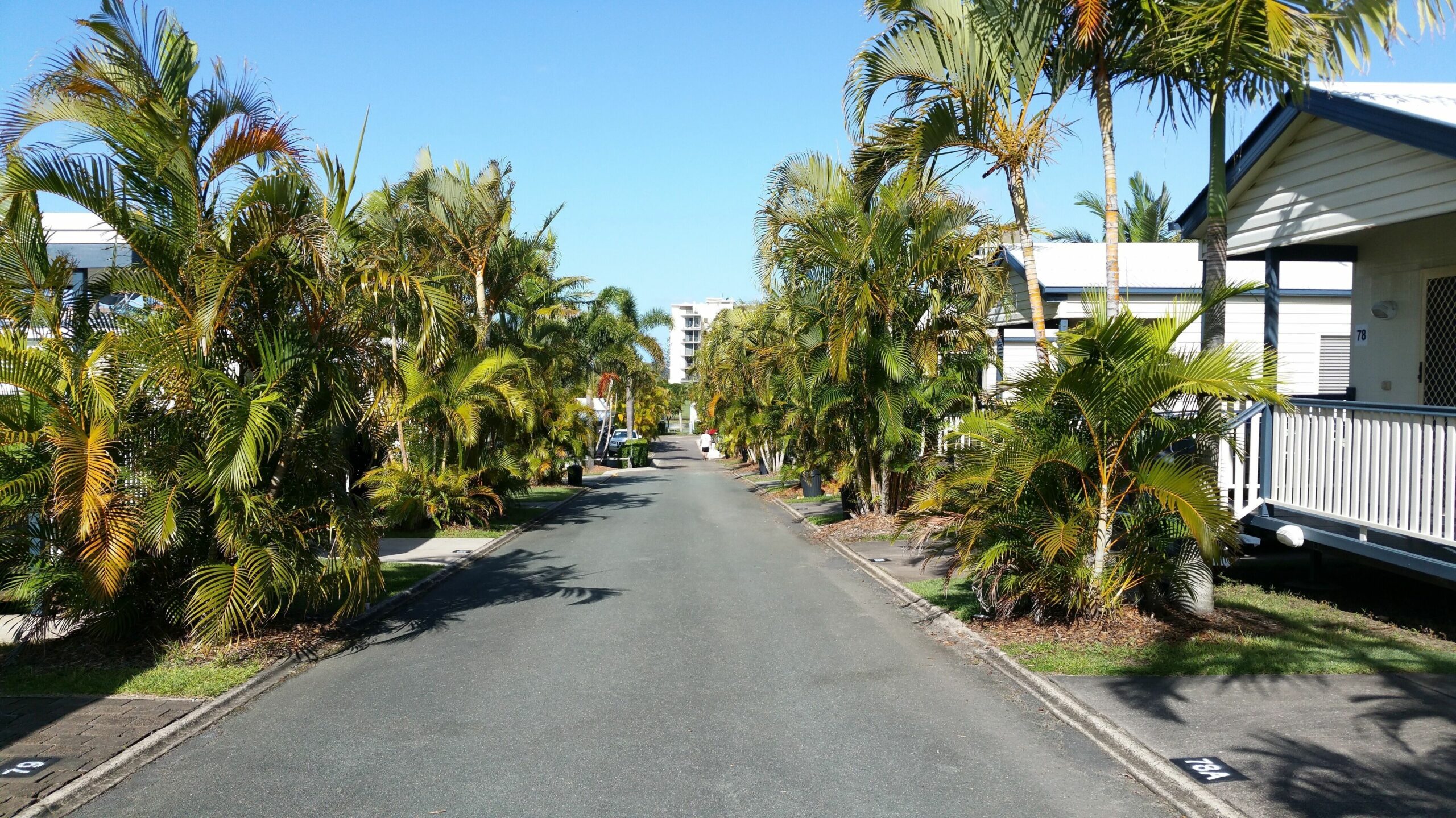 Alex Beach Cabins