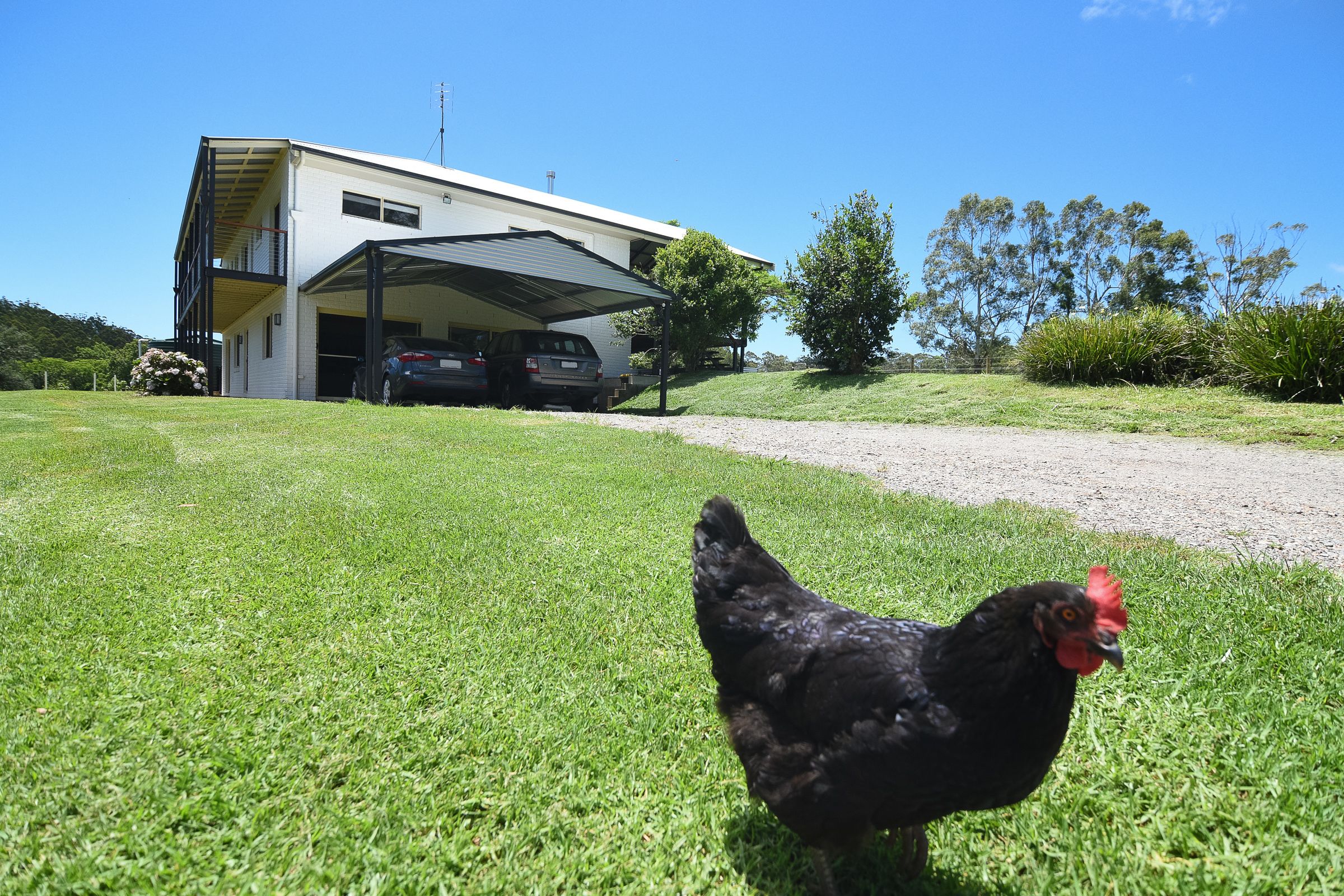 Curra Homestead Maleny