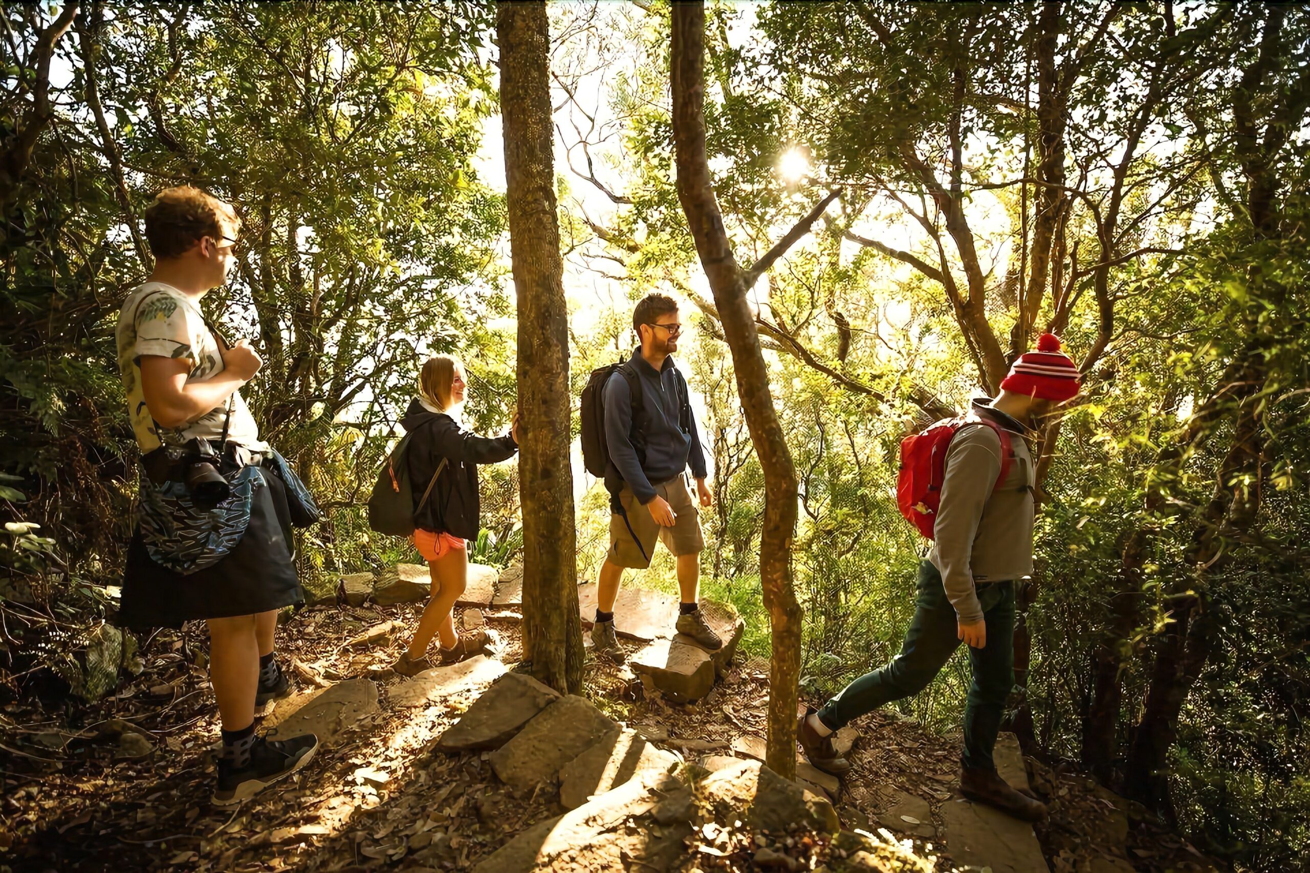 Mt Warning Rainforest Park