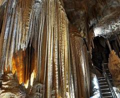 Jenolan Caves Blue Mountains & Wildlife Tour 2 days