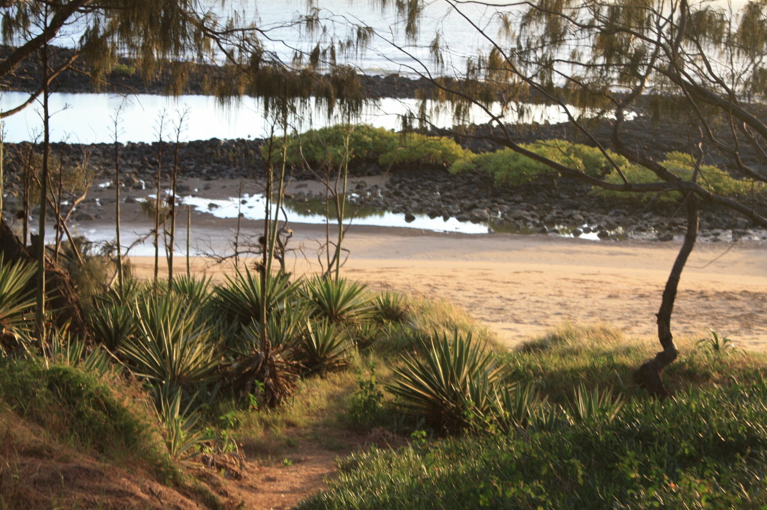 Sandcastles on the Beach Bargara