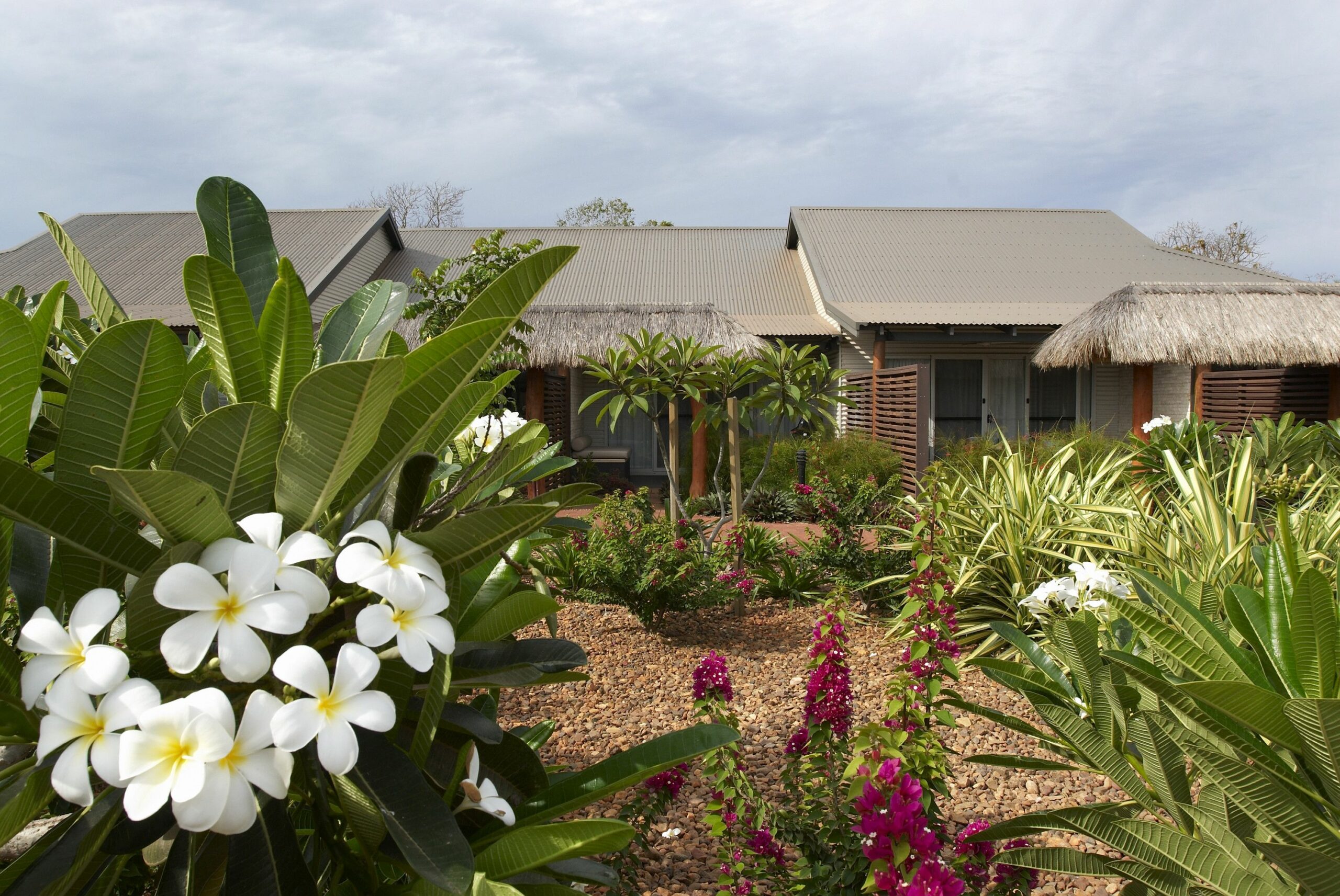 Mantra Frangipani Broome