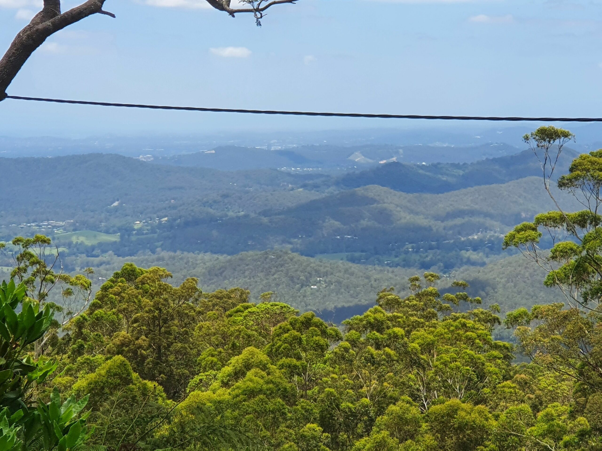 Tamborine Mountain Bed and Breakfast