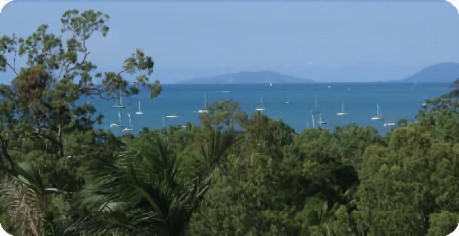 Airlie Beach Myaura Bed and Breakfast