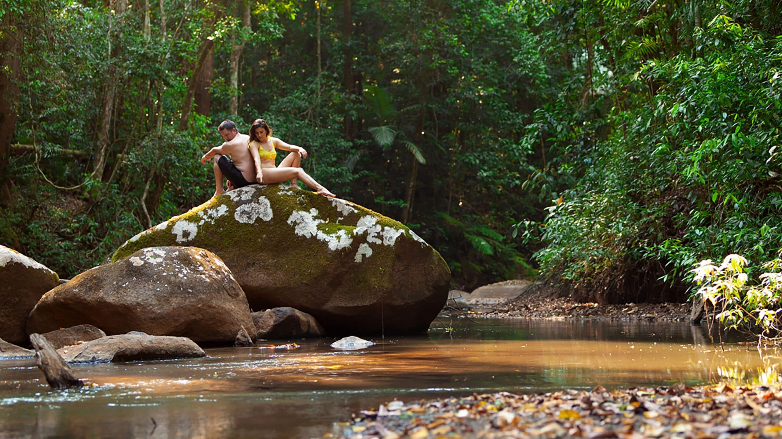 The Canopy Rainforest Treehouses and Wildlife Sanctuary