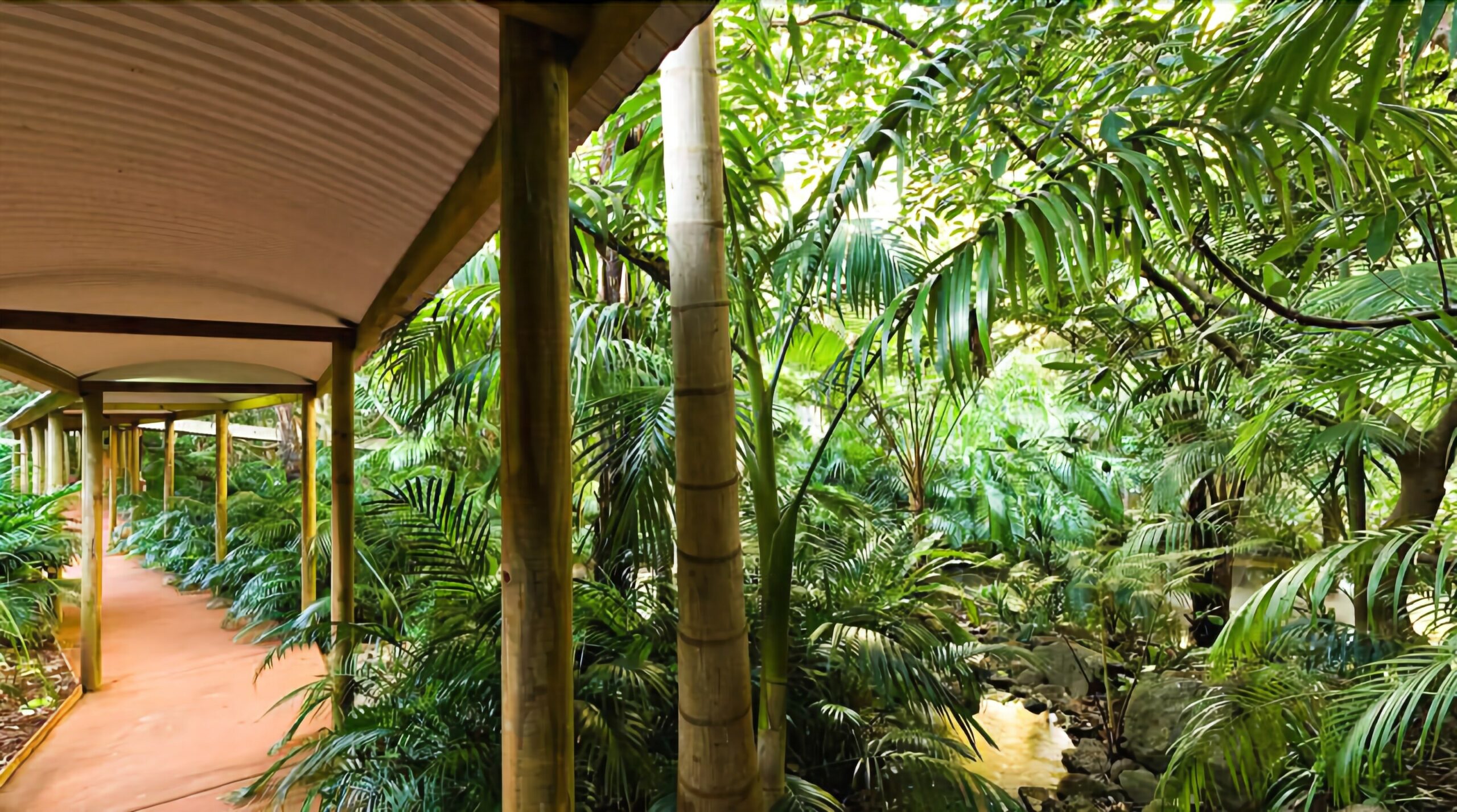 Pethers Rainforest Retreat