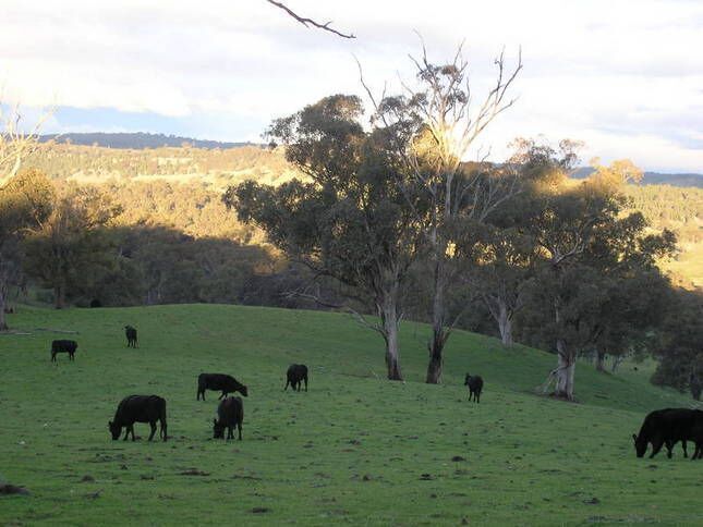 Old Bara Guesthouse.  Spacious air conditioned 4 bed homestead, sleeps up to 10.