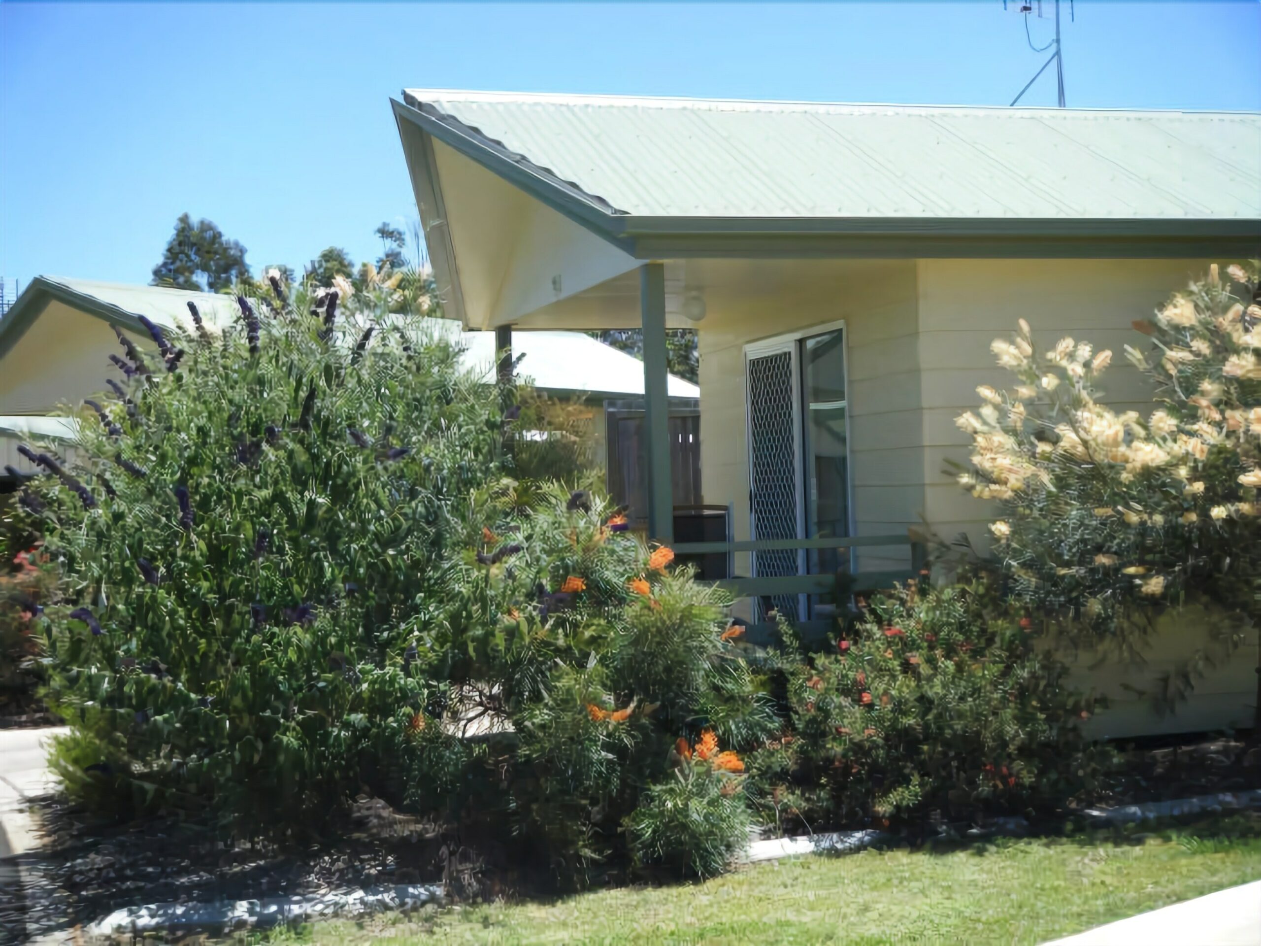 Pepper Tree Cabins