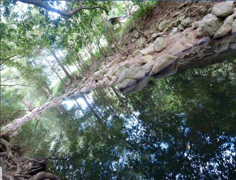 Mt Warning Rainforest Park