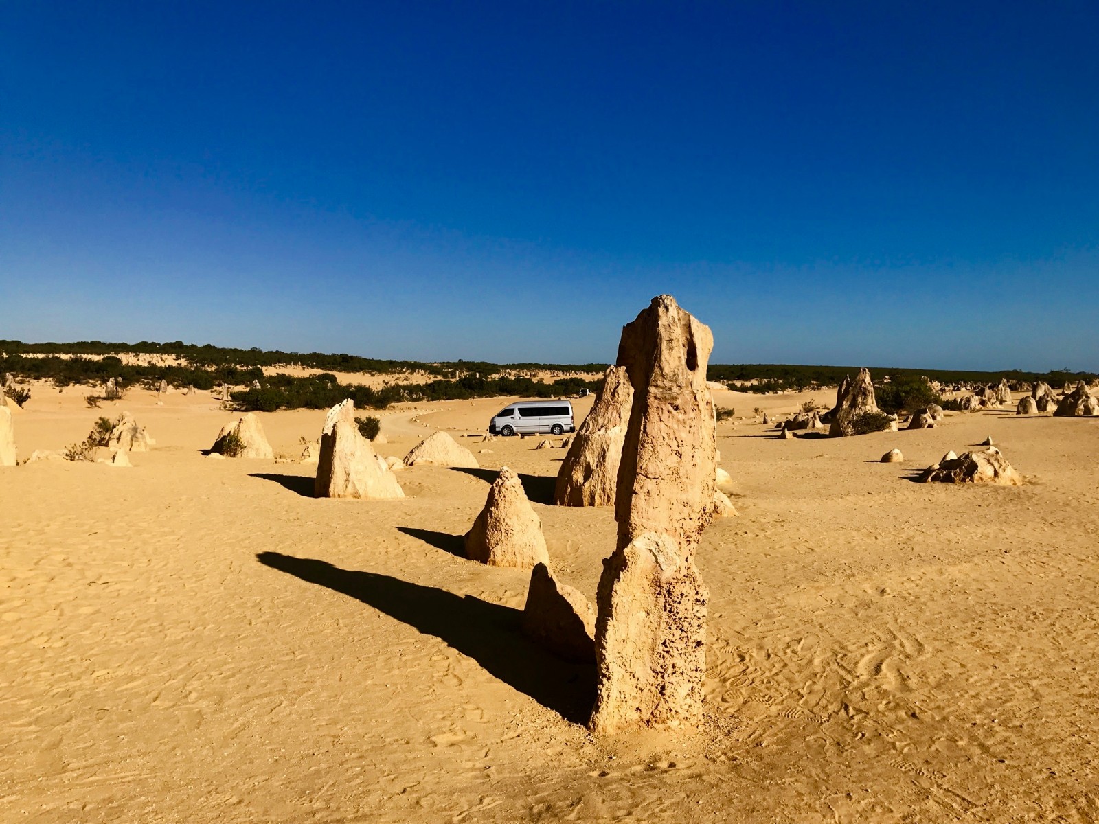 Yanchep, Lancelin, and Pinnacles Exclusive Private Full Day Tour
