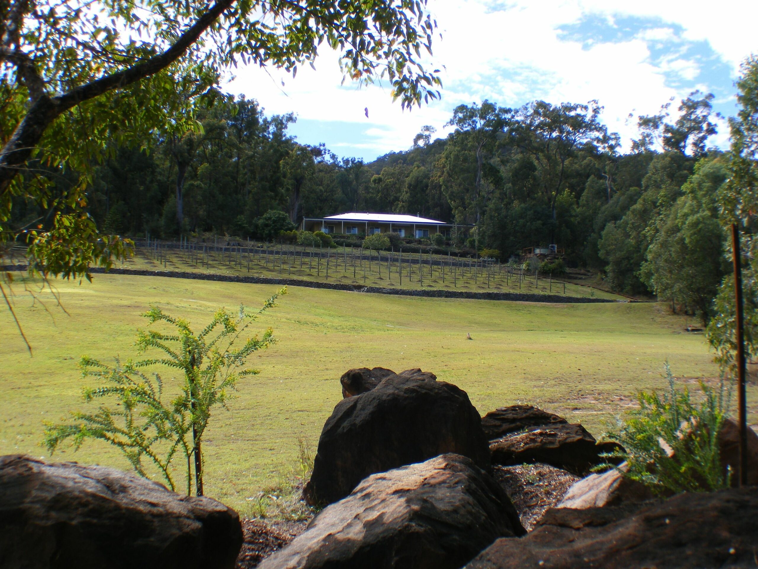 Wallaby Ridge Retreat