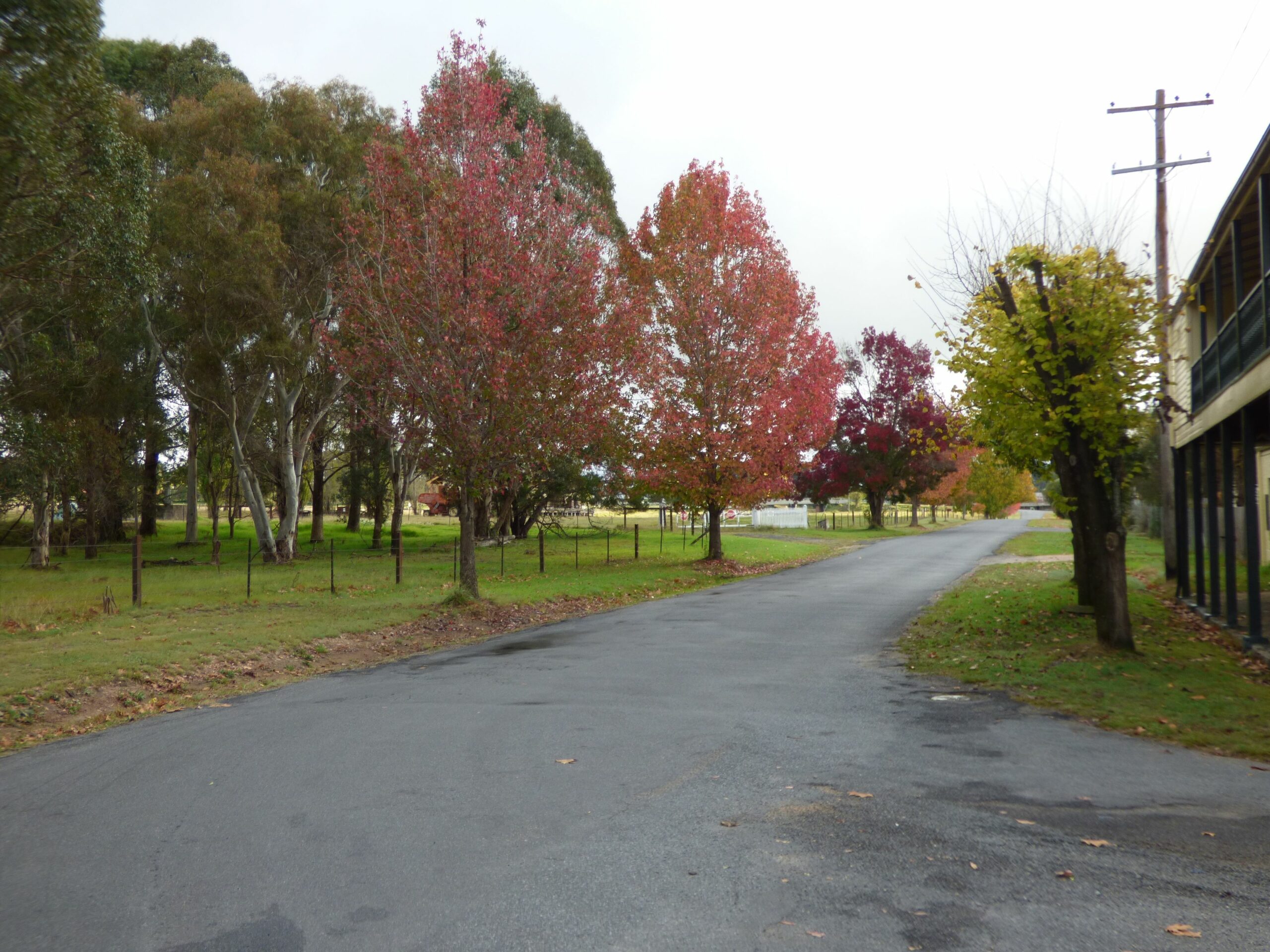 Tenterfield Lodge and Caravan Park