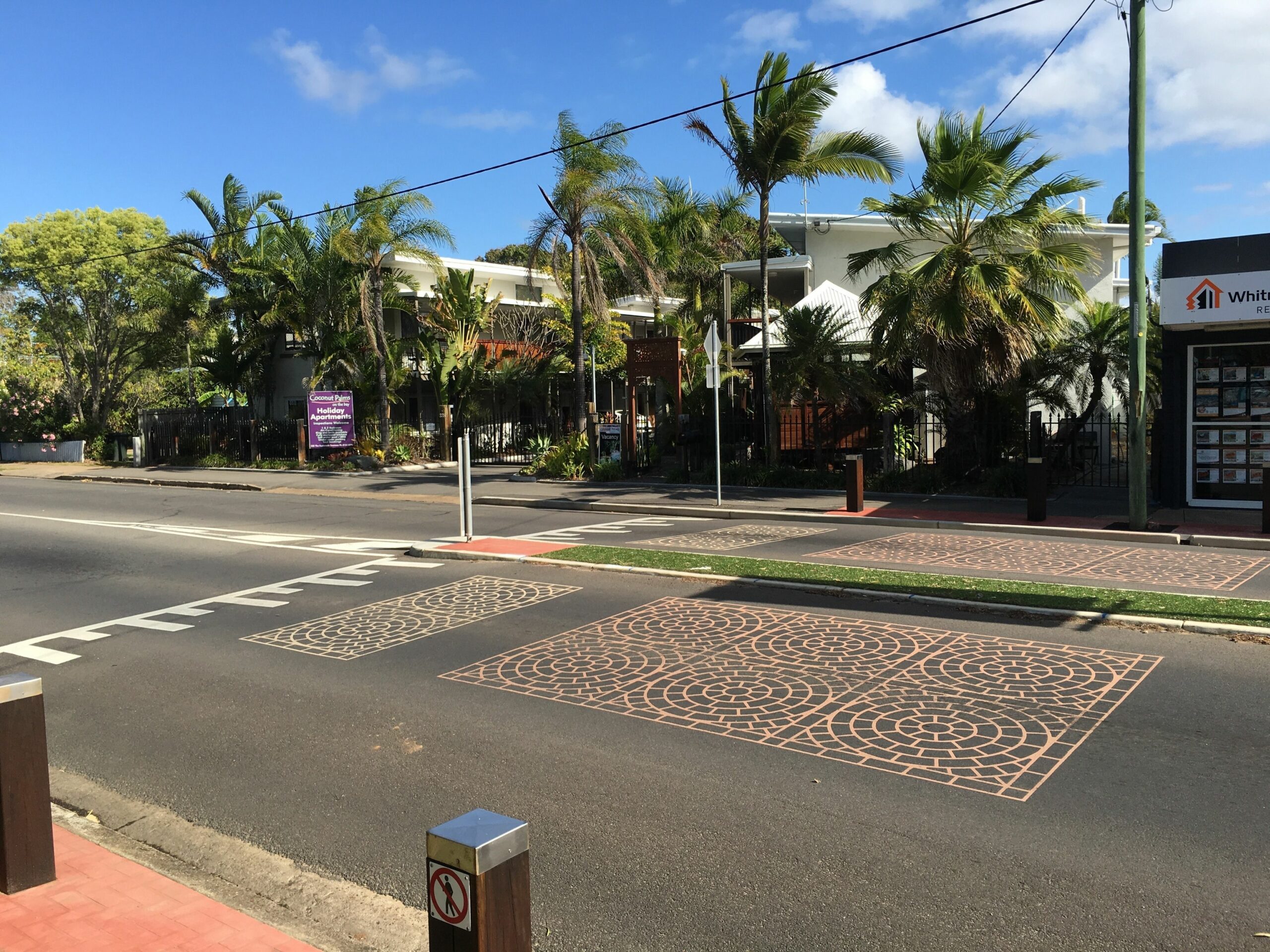 Coconut Palms On The Bay