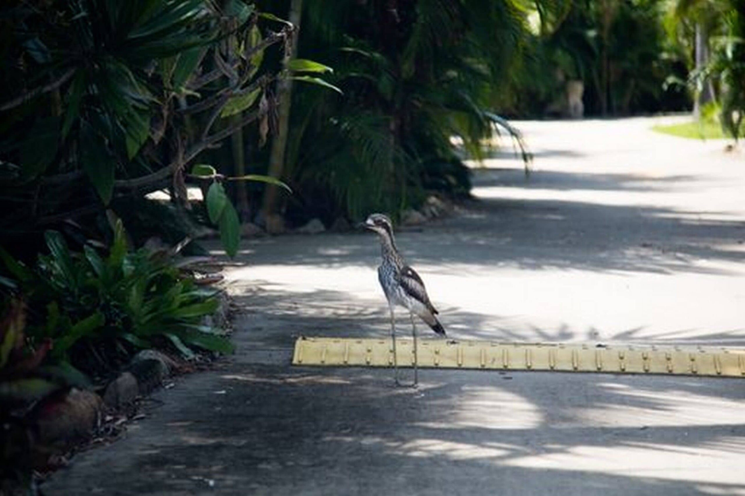 Seabreeze Tourist Park