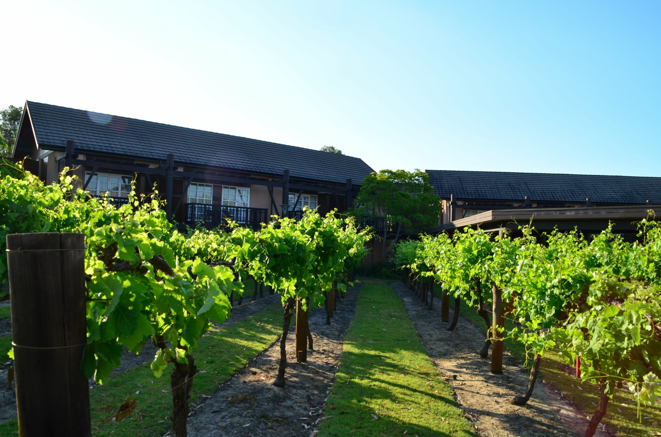 Novotel Swan Valley Vines Resort