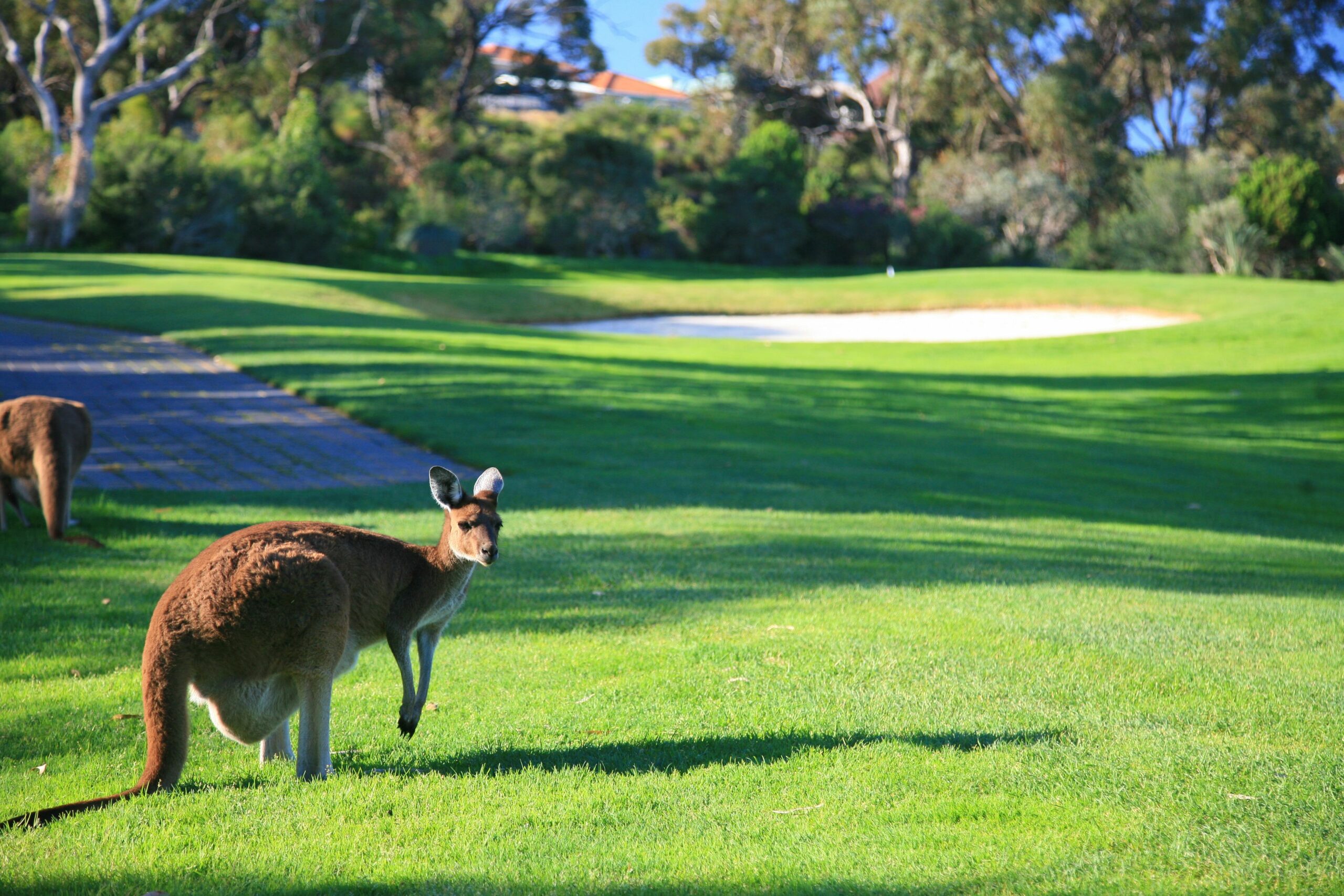 Joondalup Resort