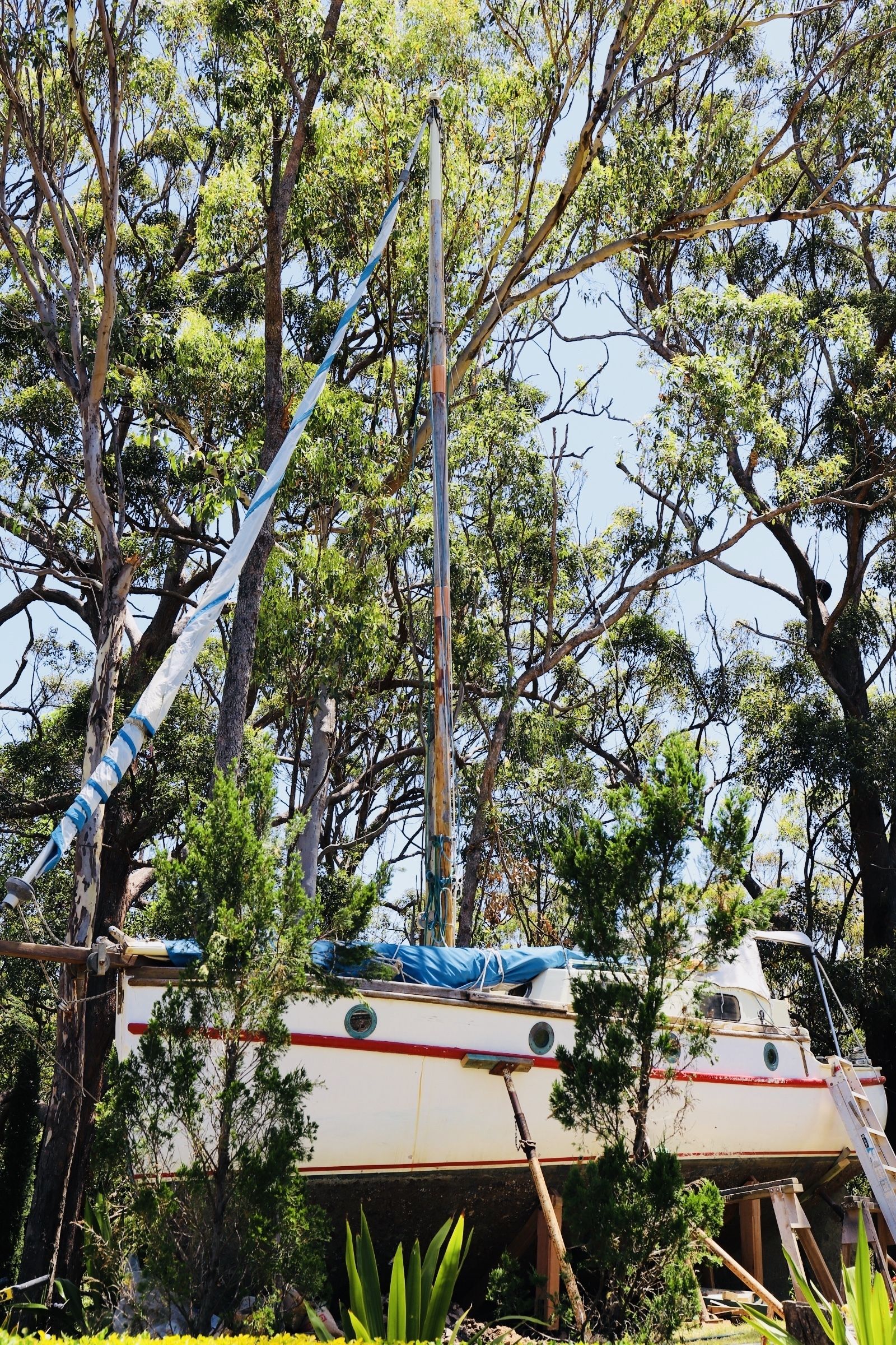 Hilltop on Tamborine