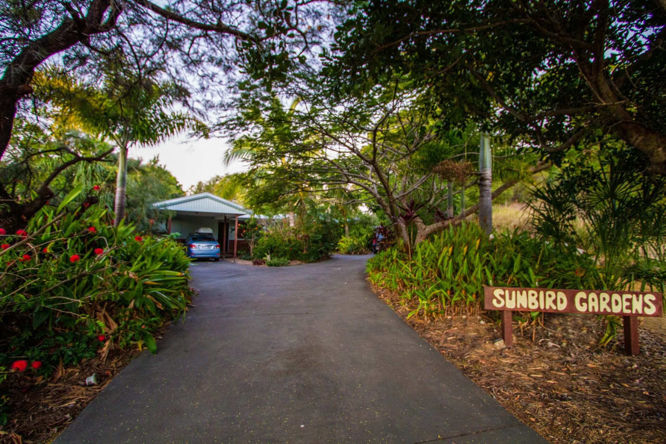 Sunbird Gardens