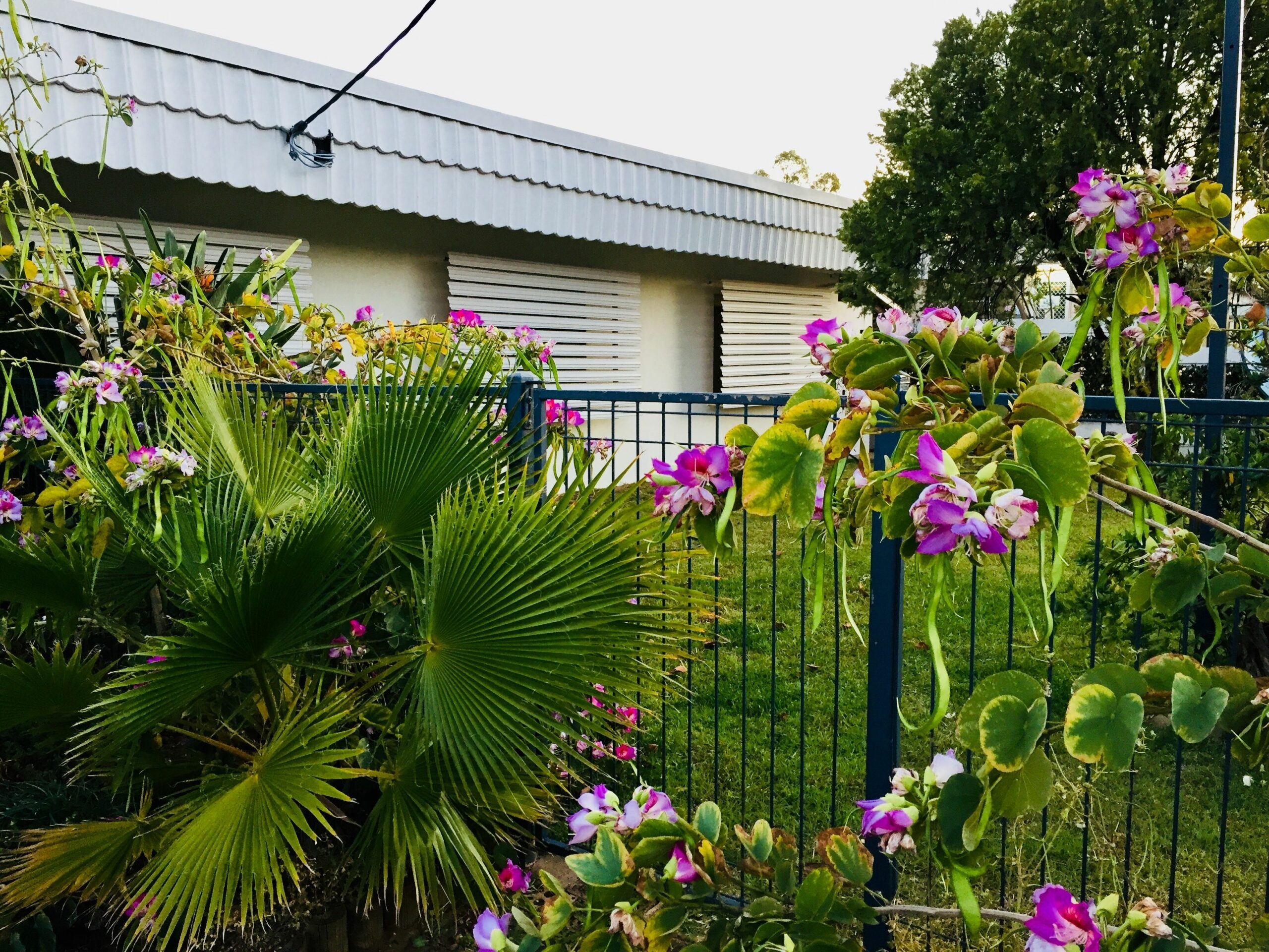 Balonne River Motor Inn