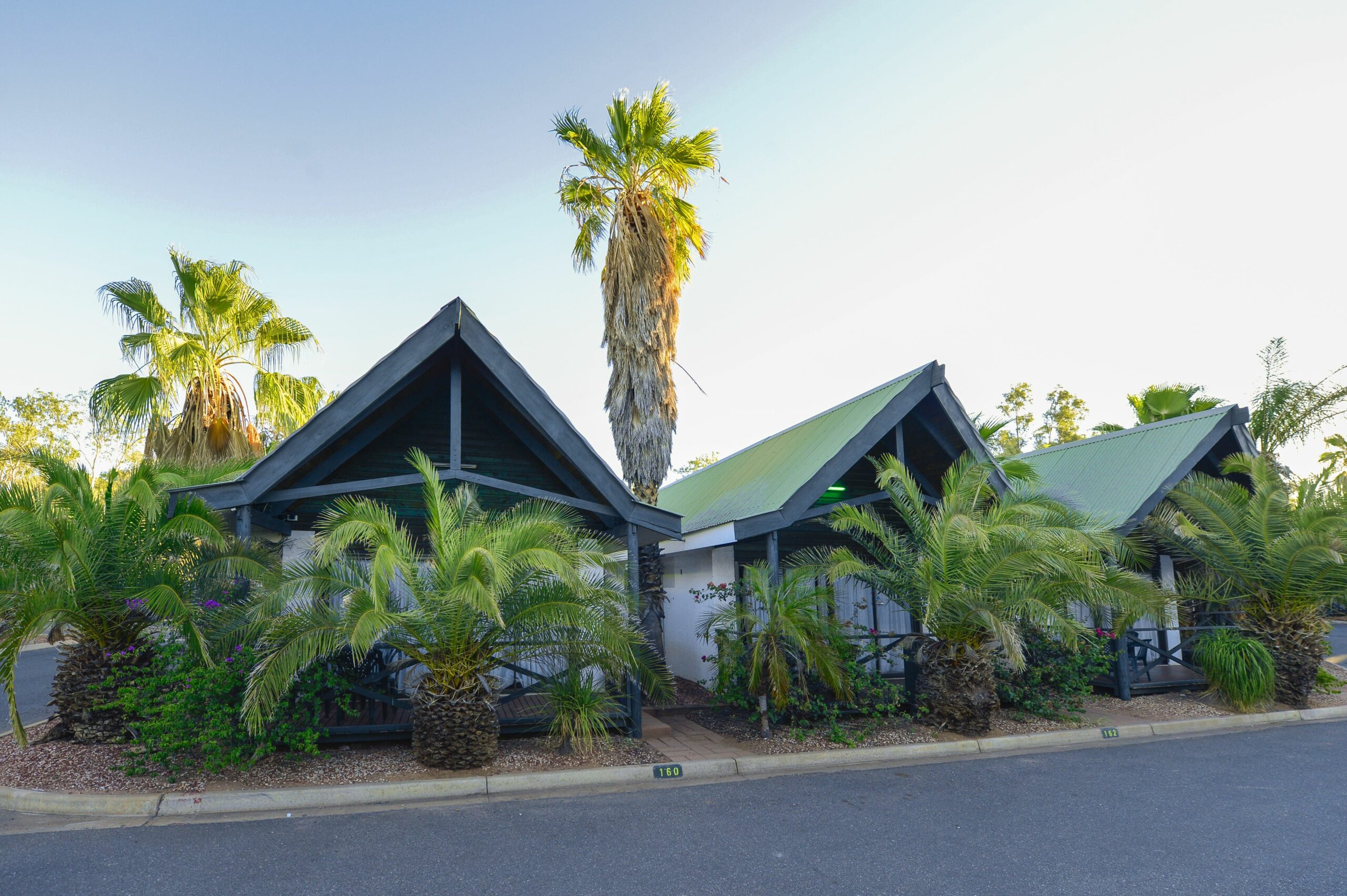 Desert Palms Alice Springs