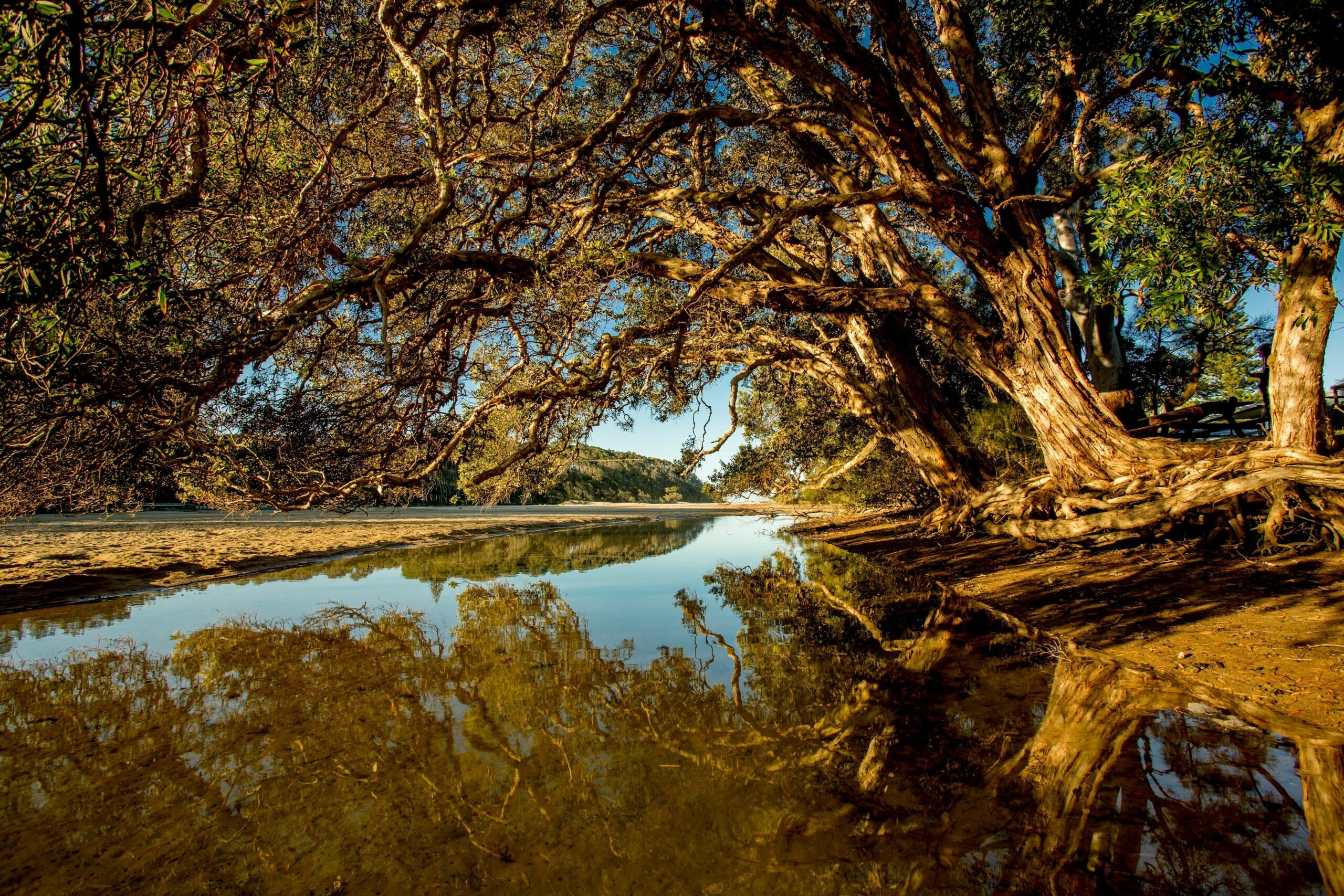 Woolgoolga Lakeside Holiday Park