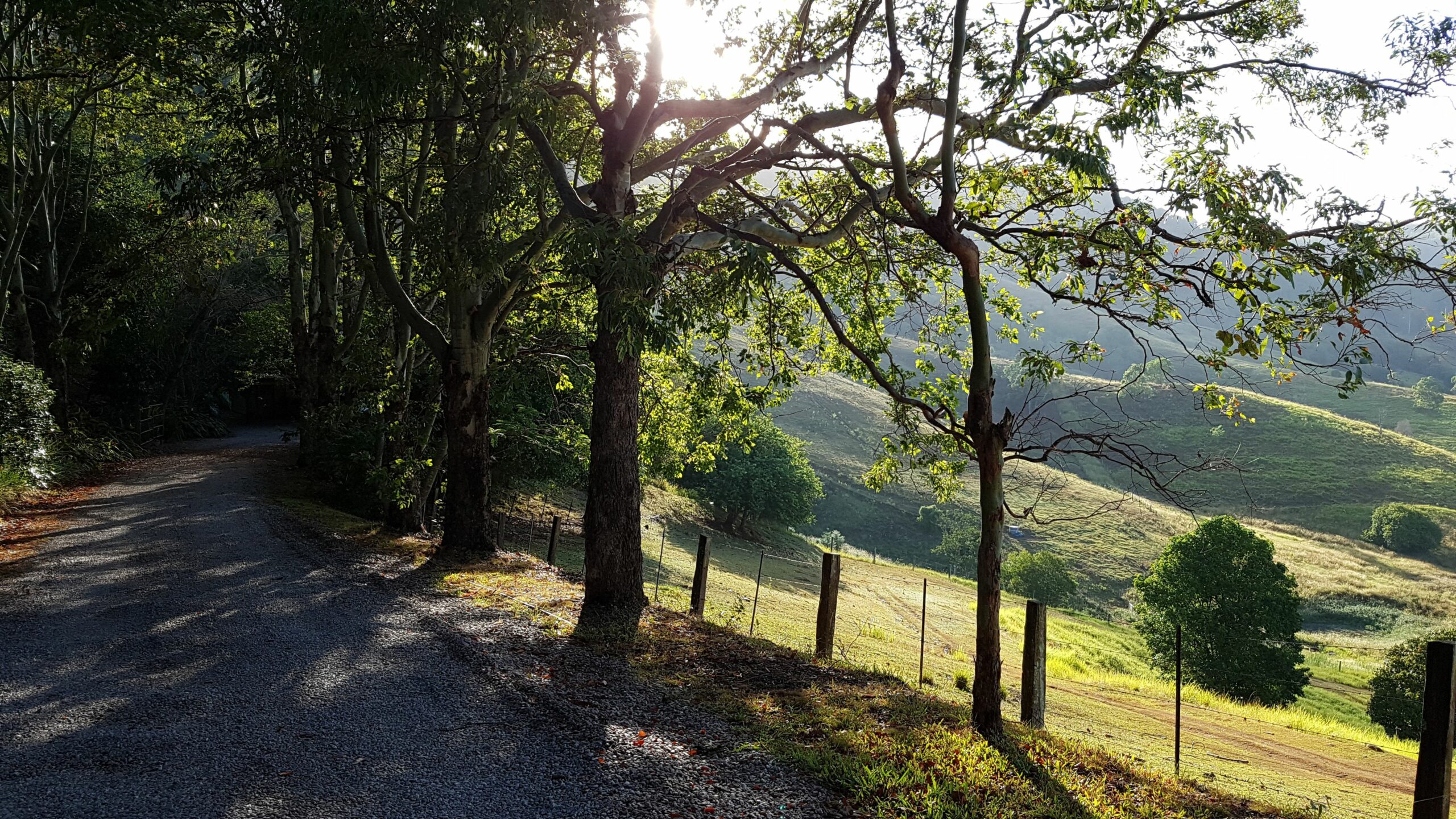 Dayboro Cottages & Llama Walks