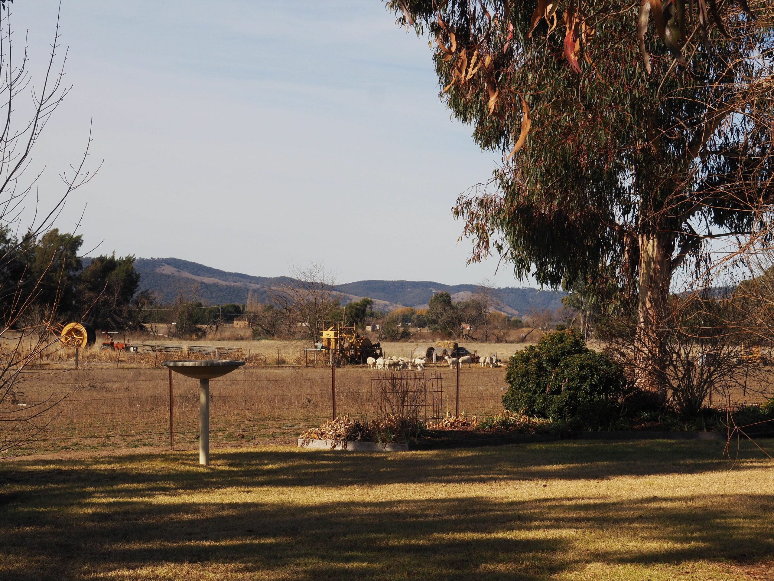 Cudgegong Valley Motel Mudgee