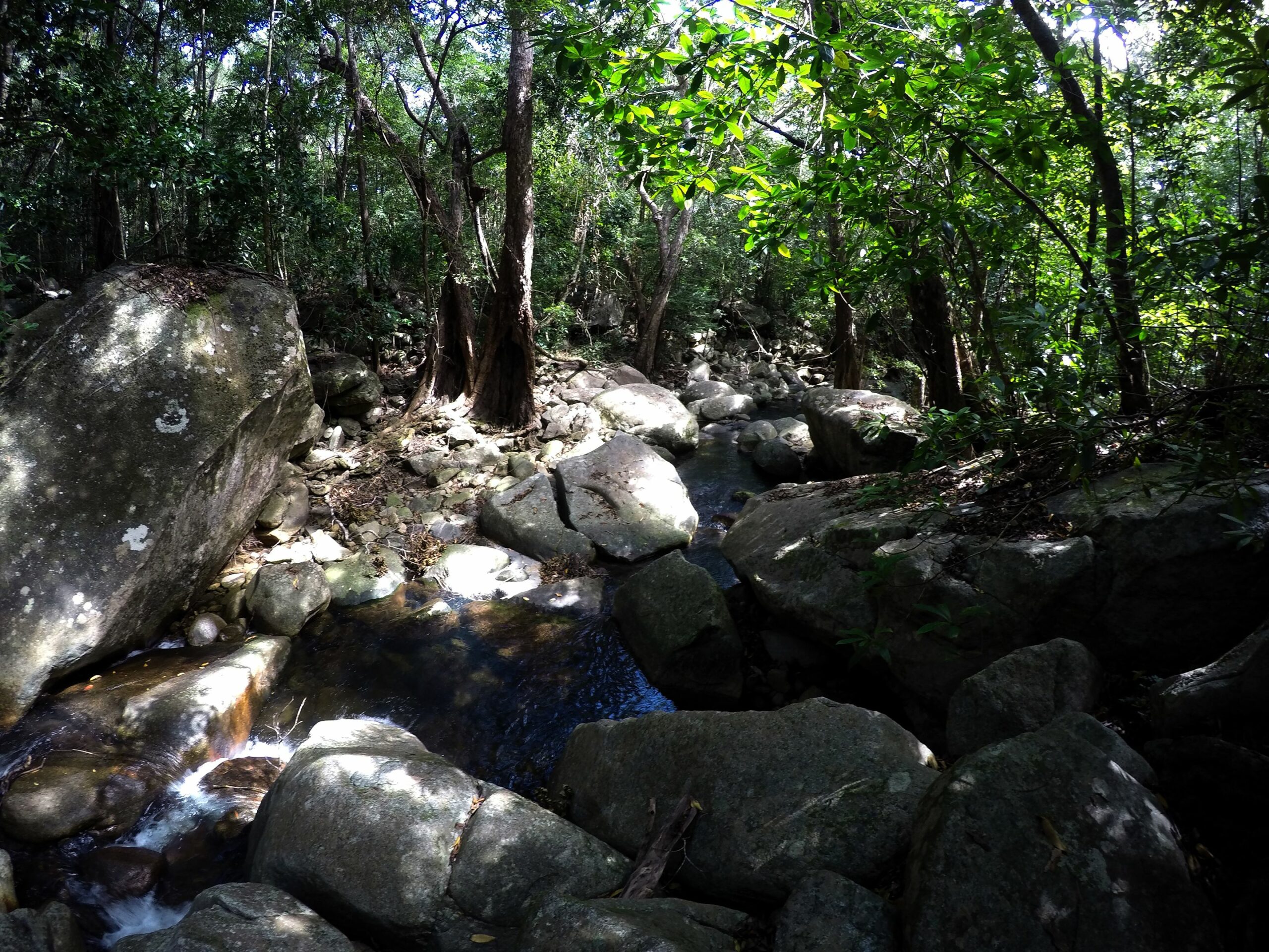 Mungumby Lodge - Cooktown