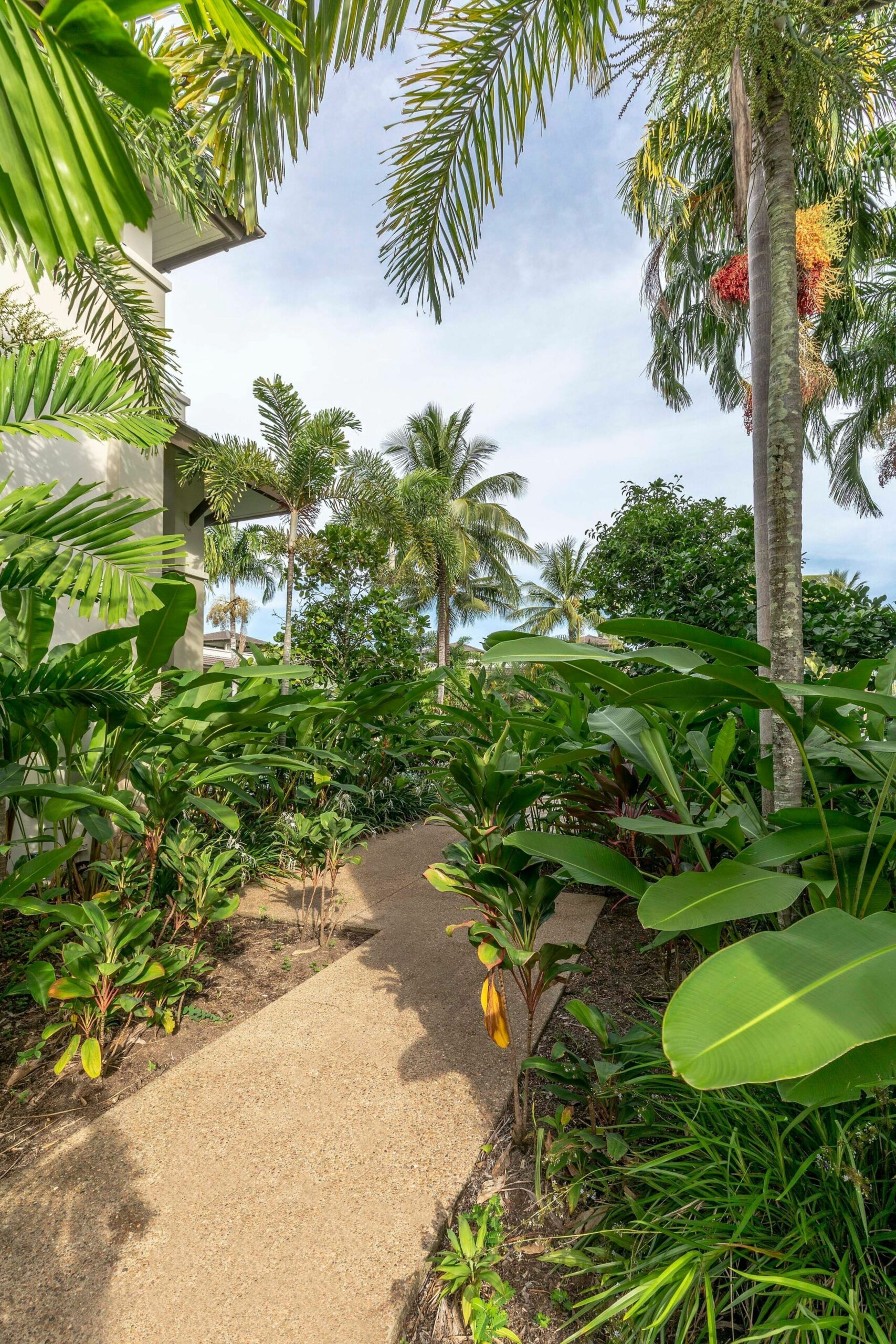 Sea Temple Port Douglas Luxury Penthouses - Swim Outs & Spa Apartments