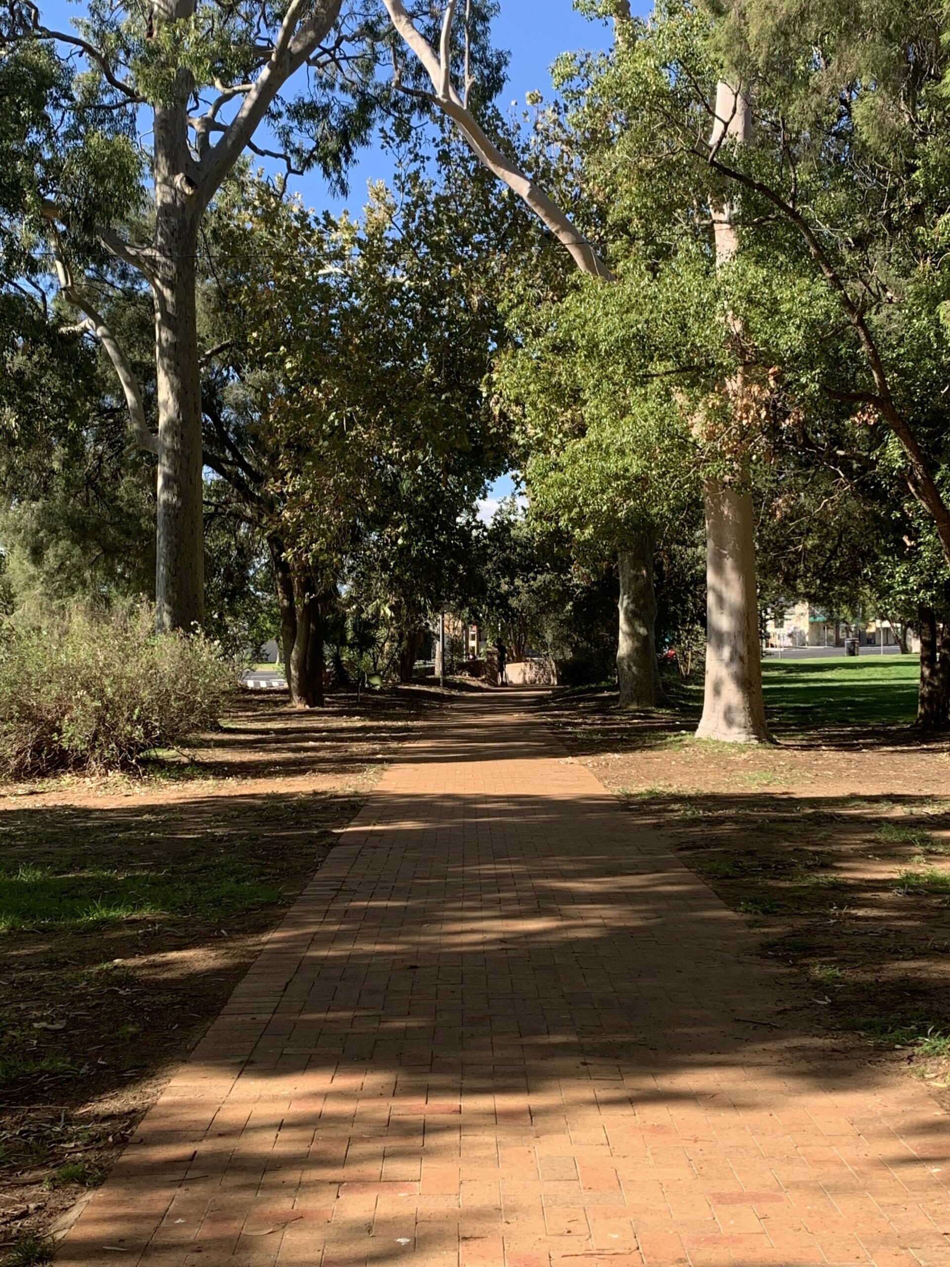 Gilgandra Motel