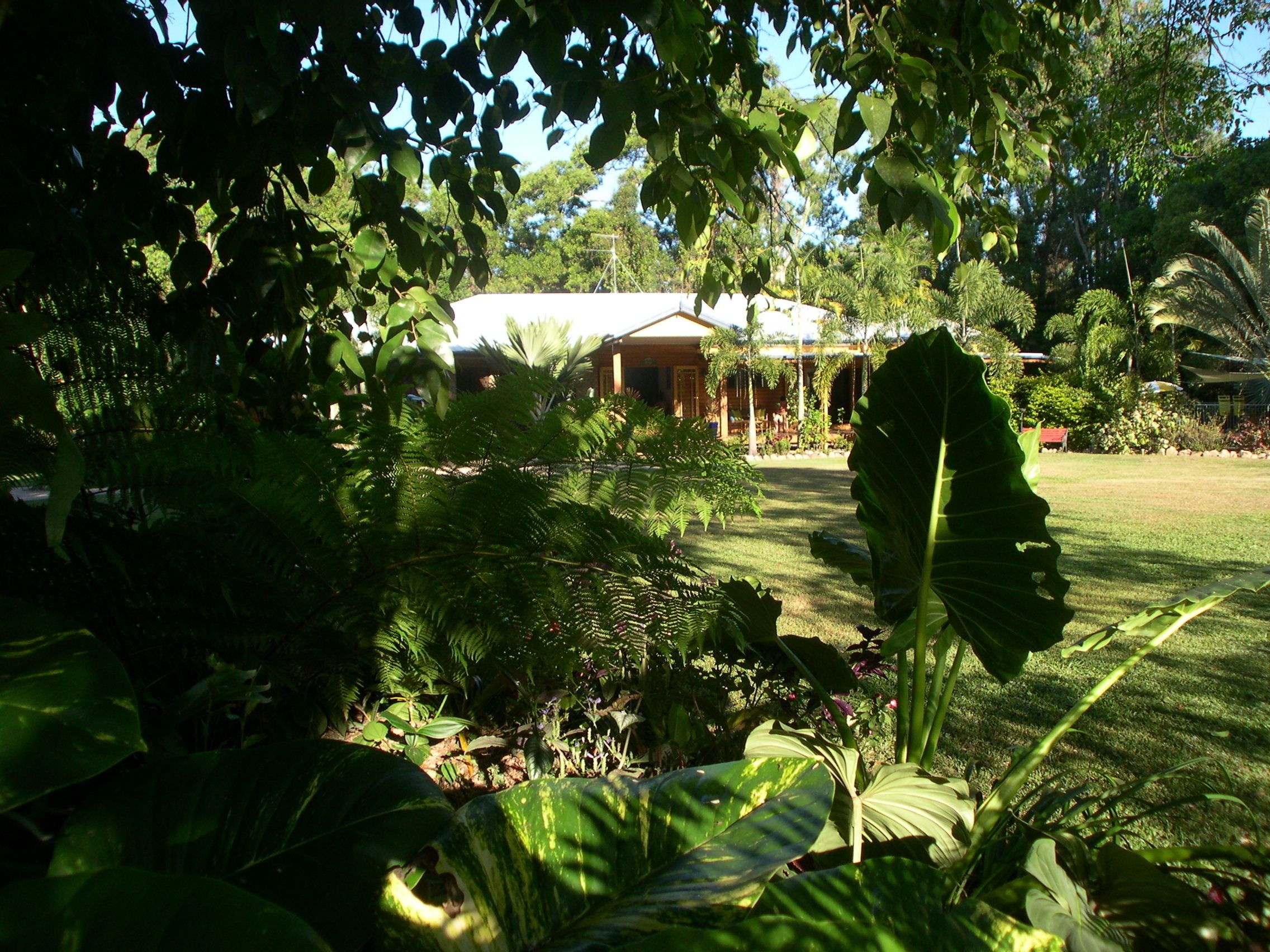 Hibiscus Lodge Bed & Breakfast