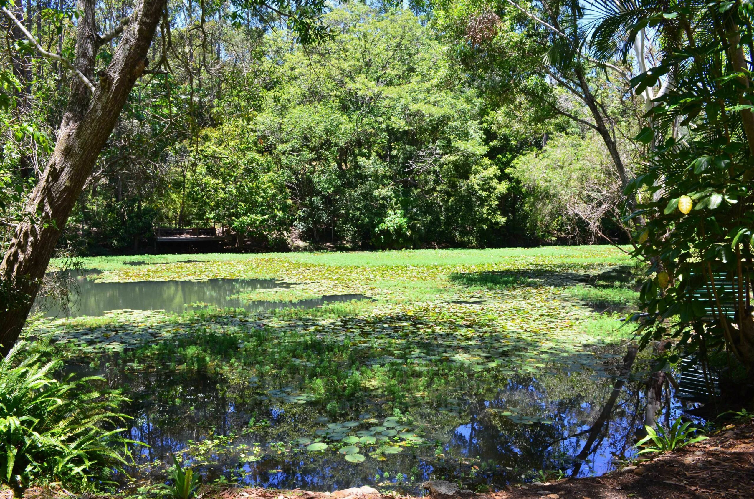 Kondalilla Eco Resort