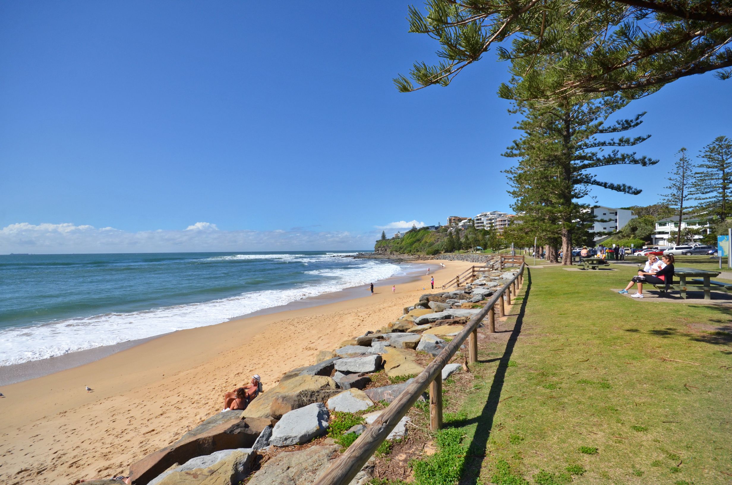 Raintrees on Moffat Beach