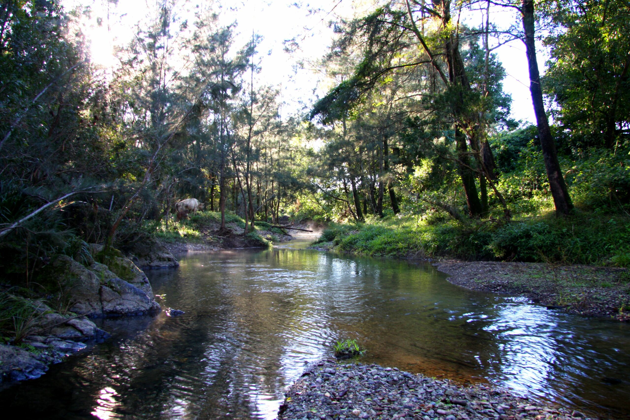 Yabbaloumba Retreat