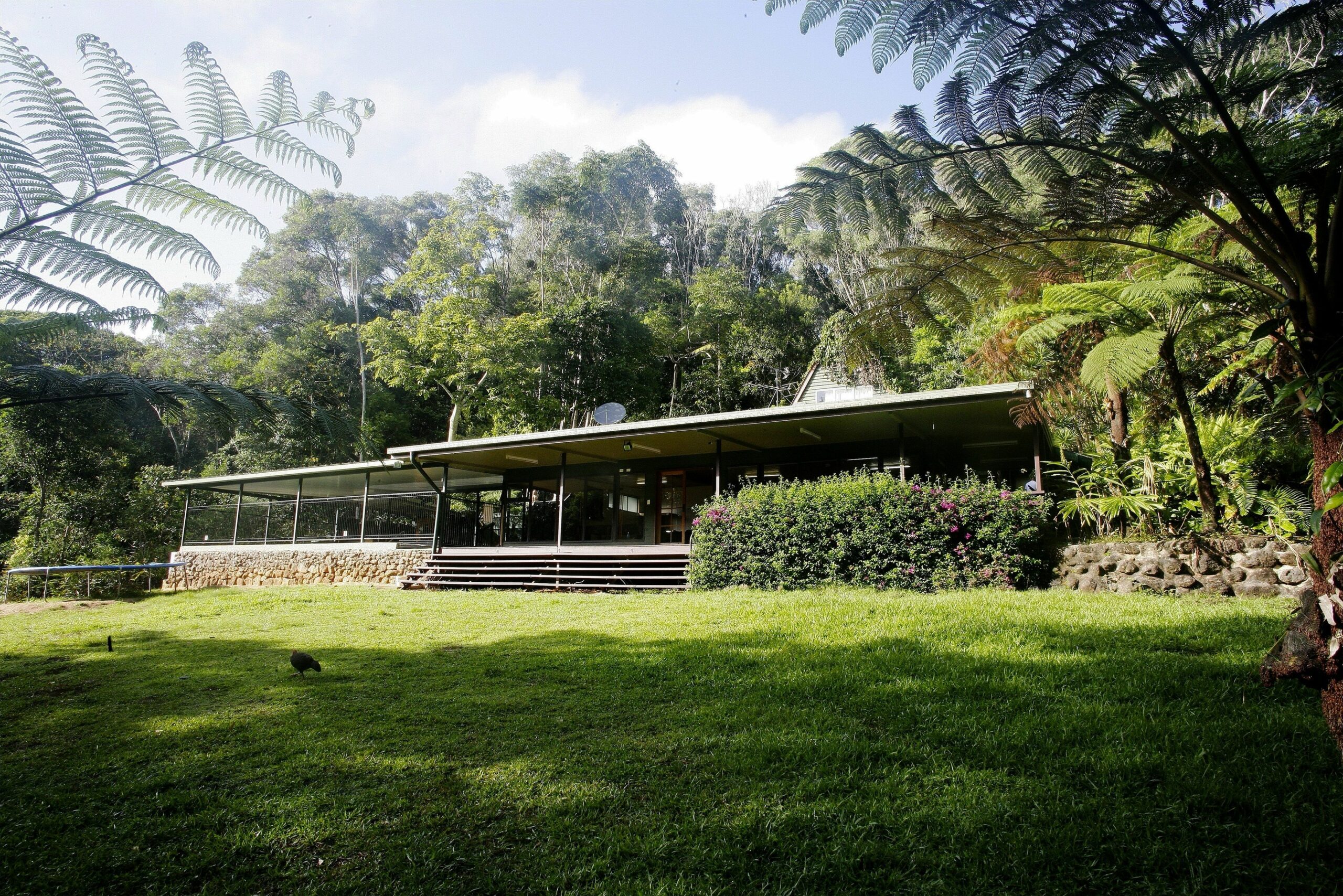 Chambers Wildlife Rainforest Lodges