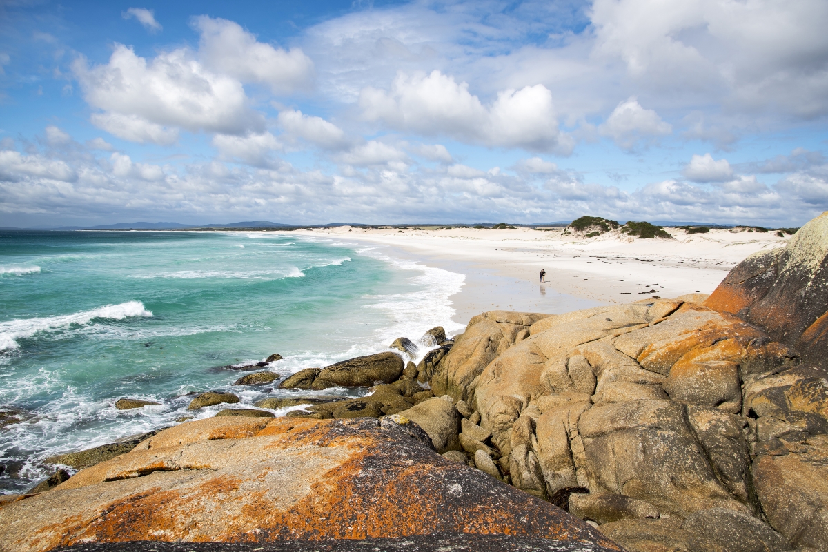 Bay of Fires and Mt William National Park 4 day walking holiday